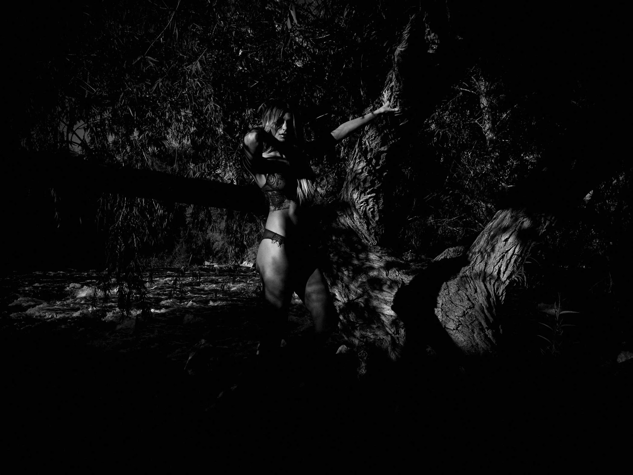 sickstarweb-nochurchinthewild01.jpg