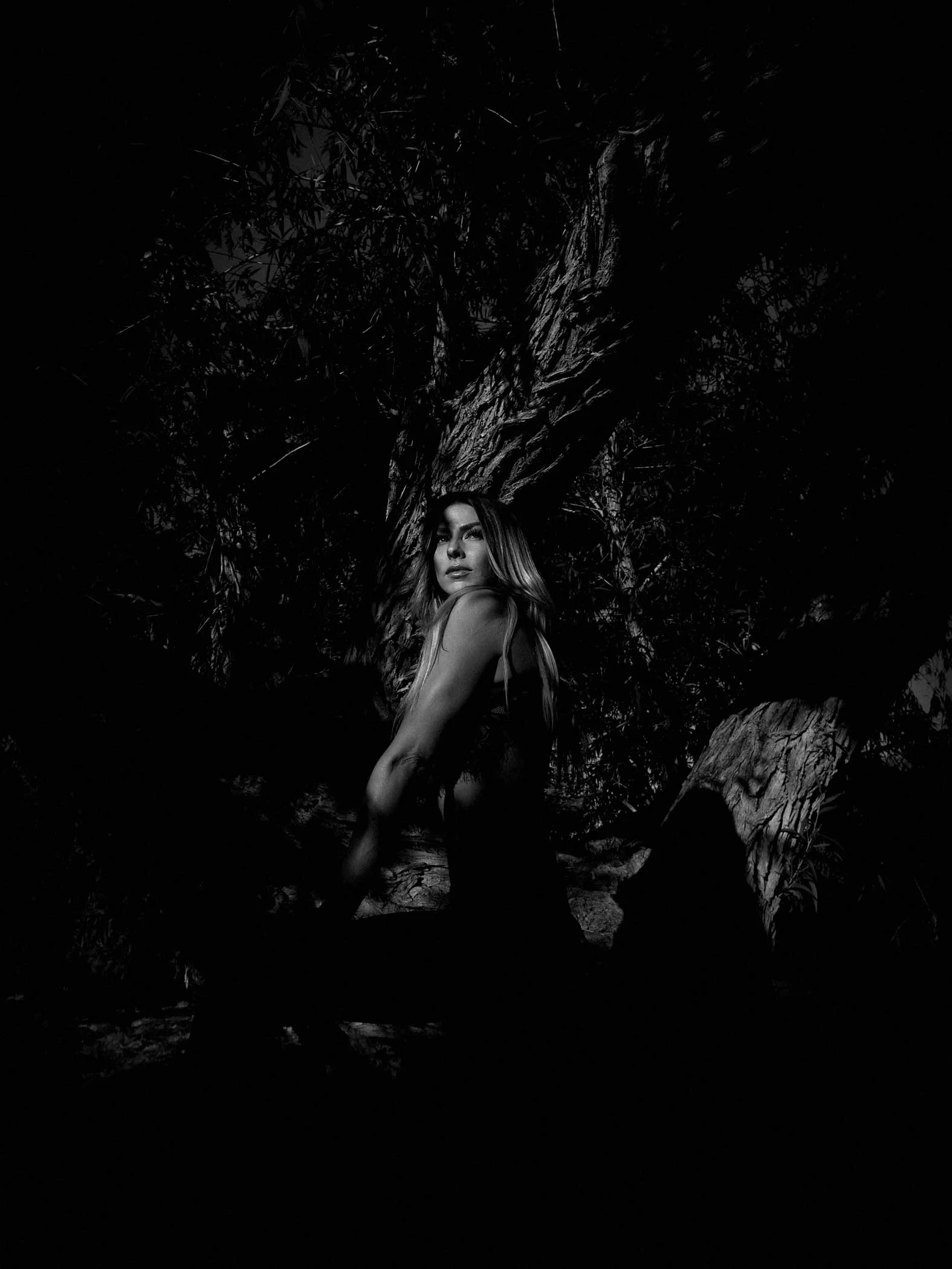 sickstarweb-nochurchinthewild11.jpg