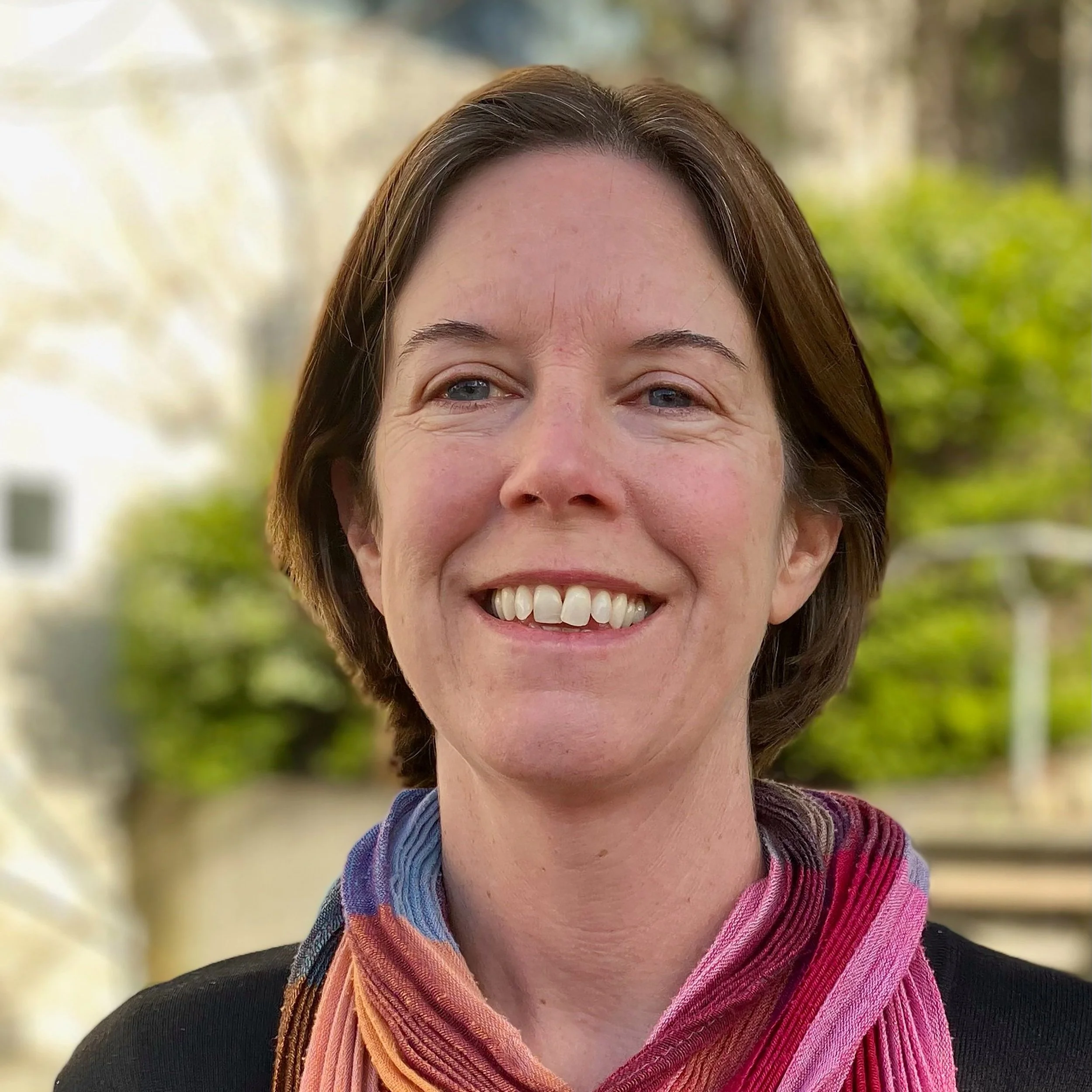 At the Point of Seeing - Megan Kitching