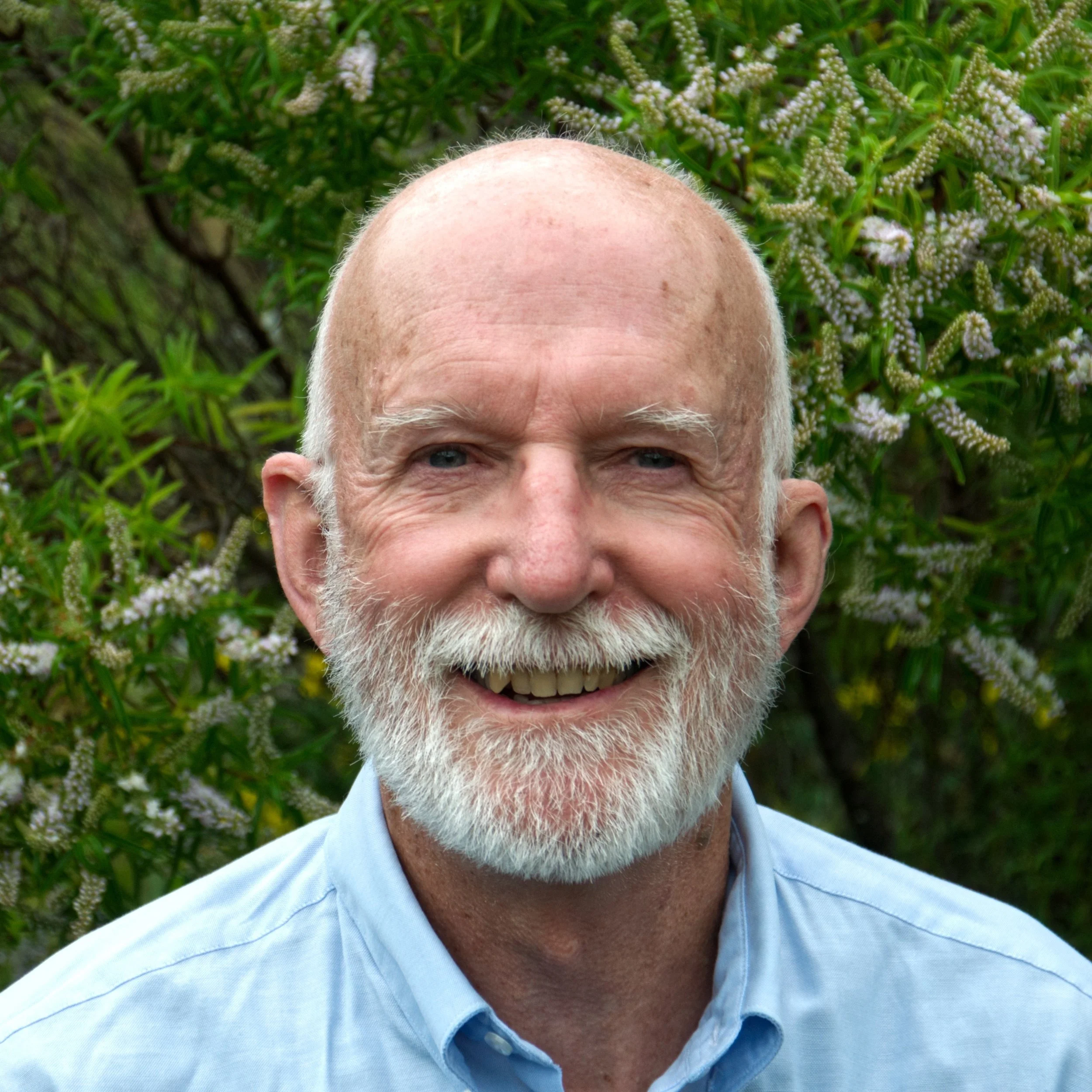 He Puāwai: A Natural History of New Zealand Flowers - Philip Garnock-Jones