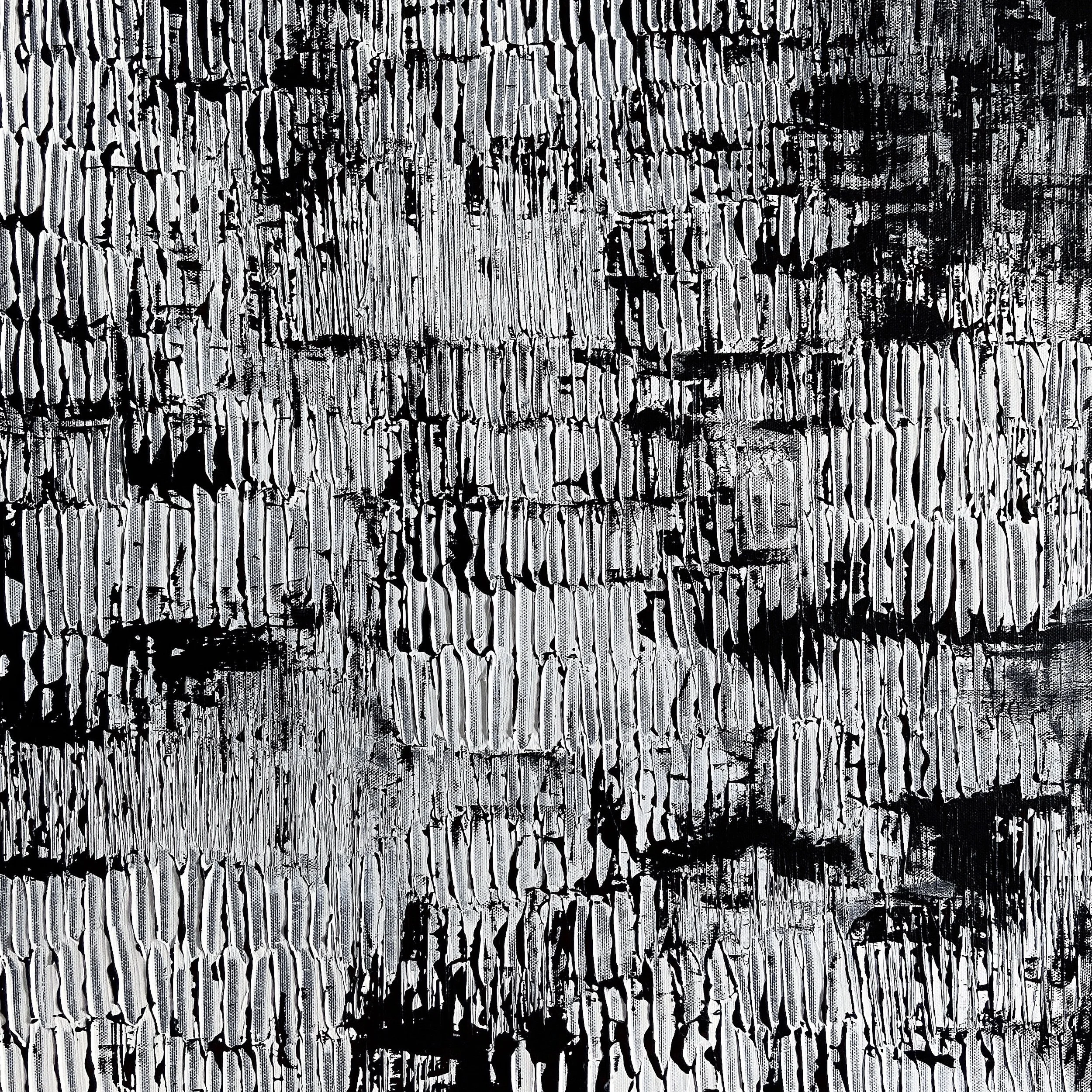  “Studies in Black I-IV” 