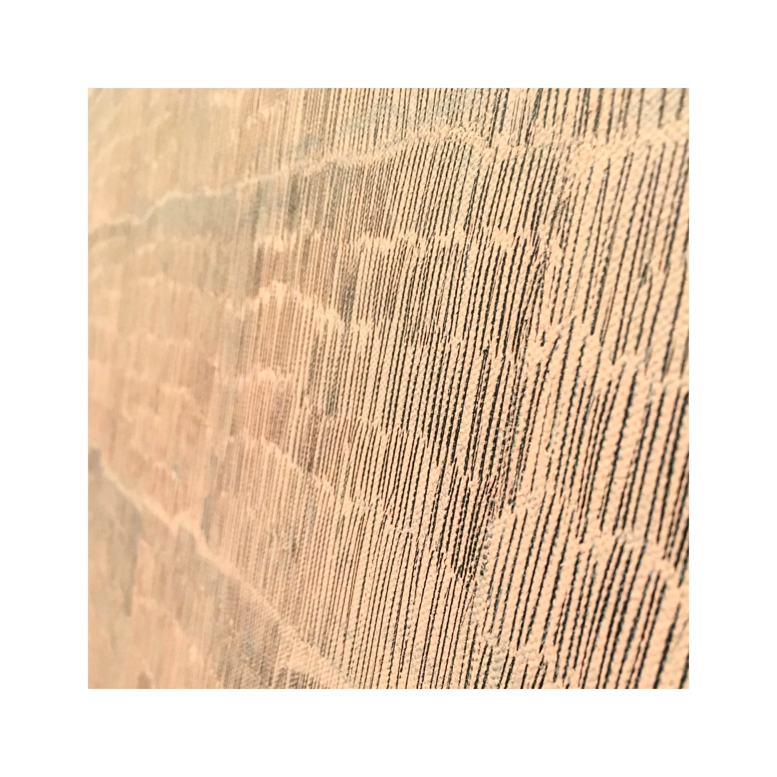  A detail from “The Jellyfish” 