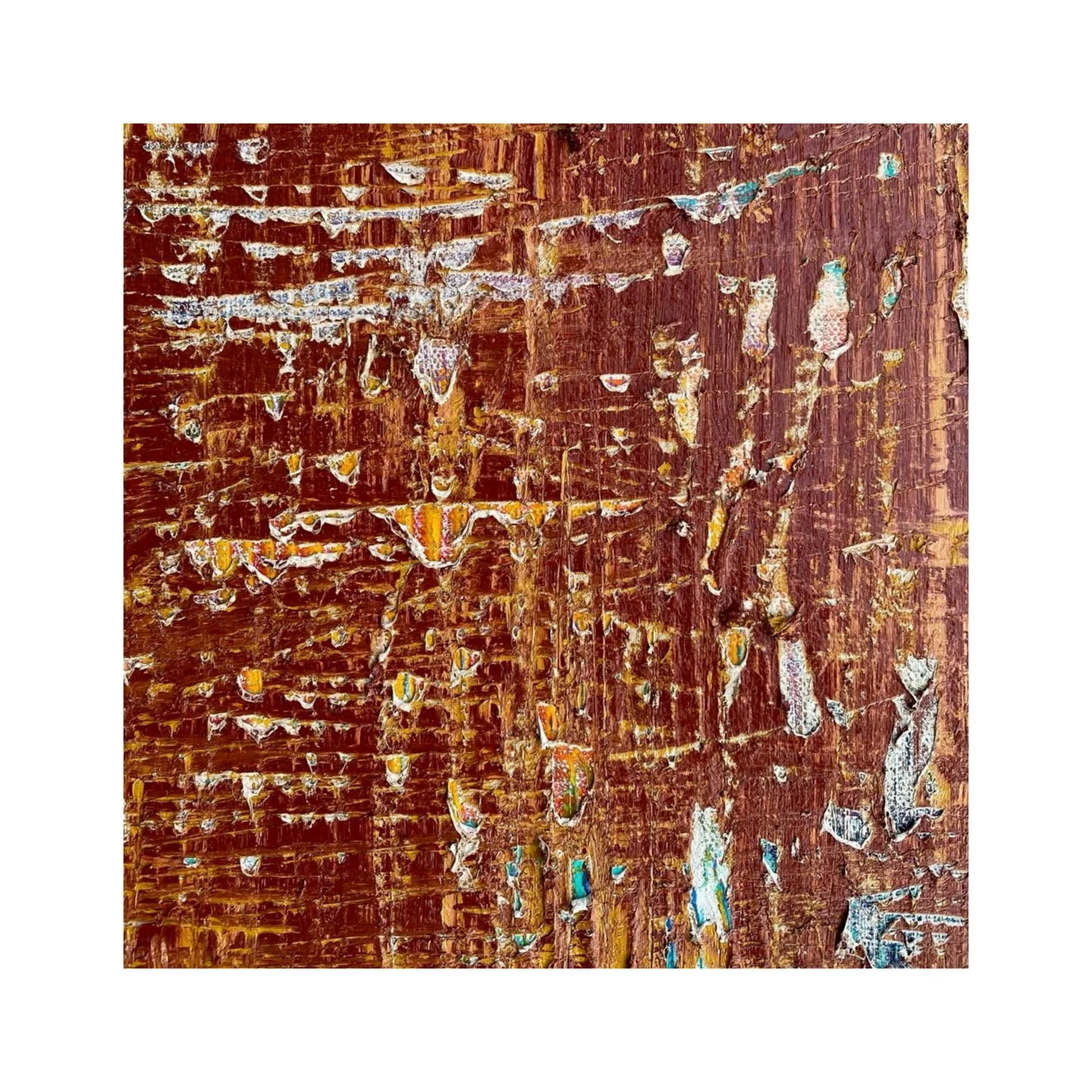  A detail from “Redwood” 