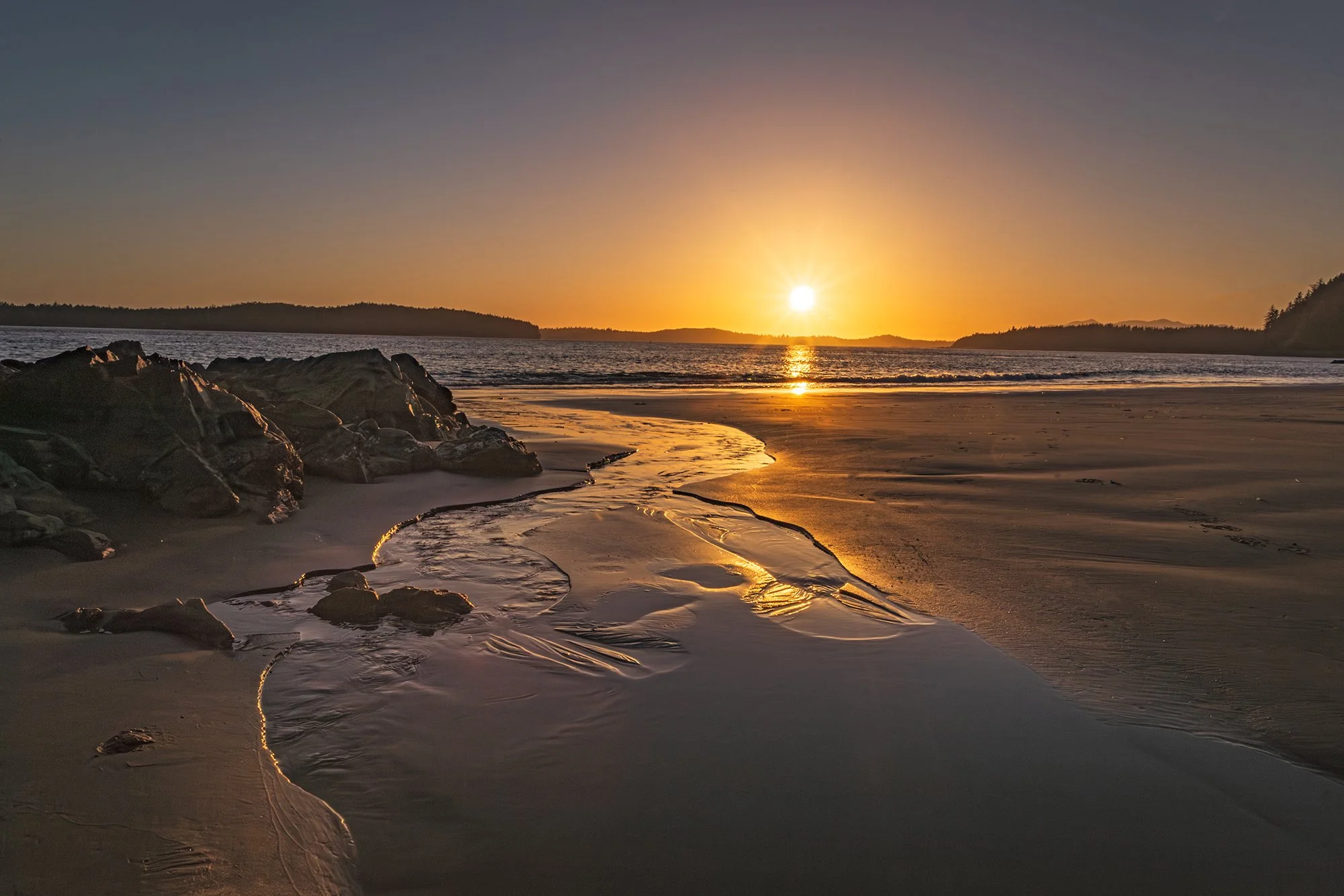 Tofino