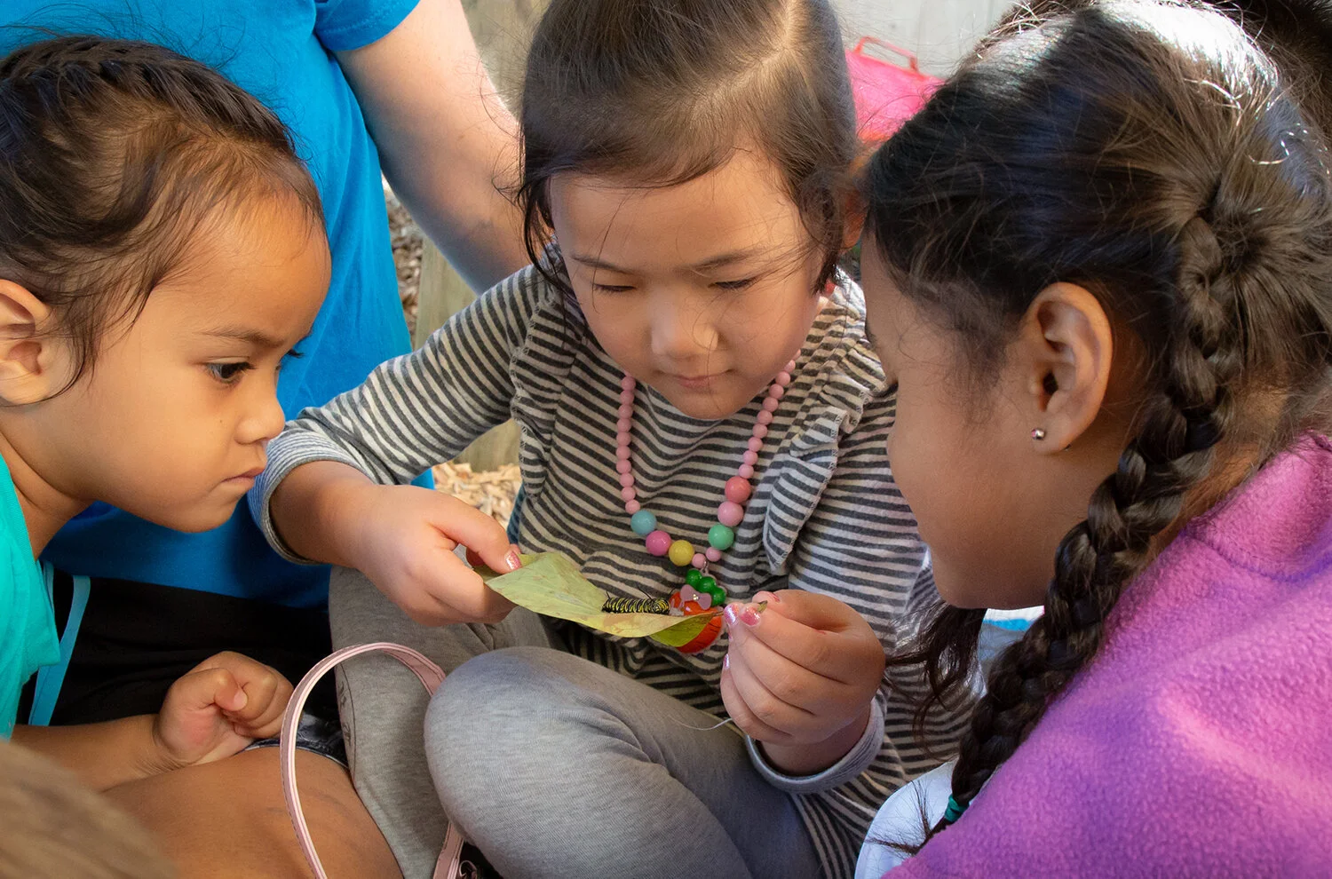 Kiddywinks 13_Sml.jpg