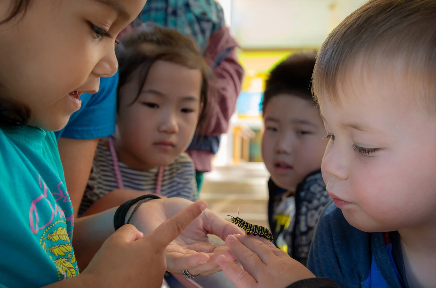 Kiddywinks 18_Sml.jpg