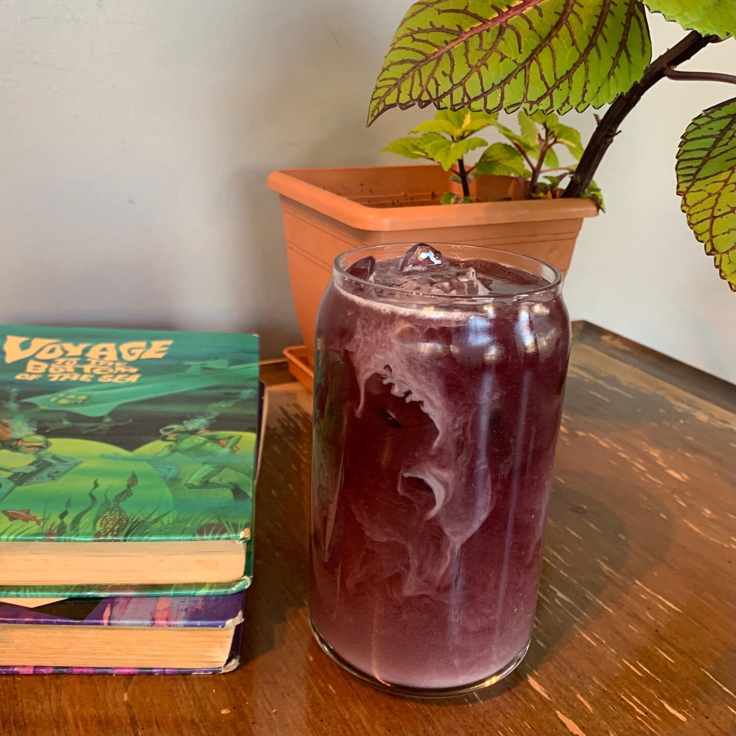 The blueberries have reappeared!

Our Midnight Ryder is back to stay until the blueberries disappear (again)! Come try it today! 

@bluemindroasting cold brew with oat milk and house blueberry tincture.