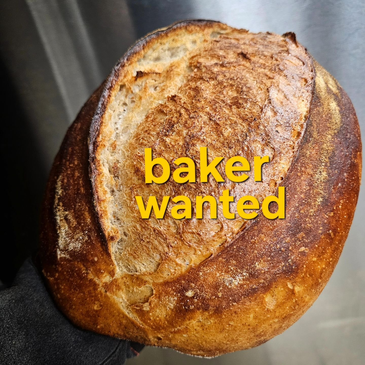 Greetings, breadfans! 
Leviathan is looking for an experienced baker to join our production team! We have a full time position available for the right person. If you love butter, have a knack for laminating dough, and are a bit of an oddball, you may