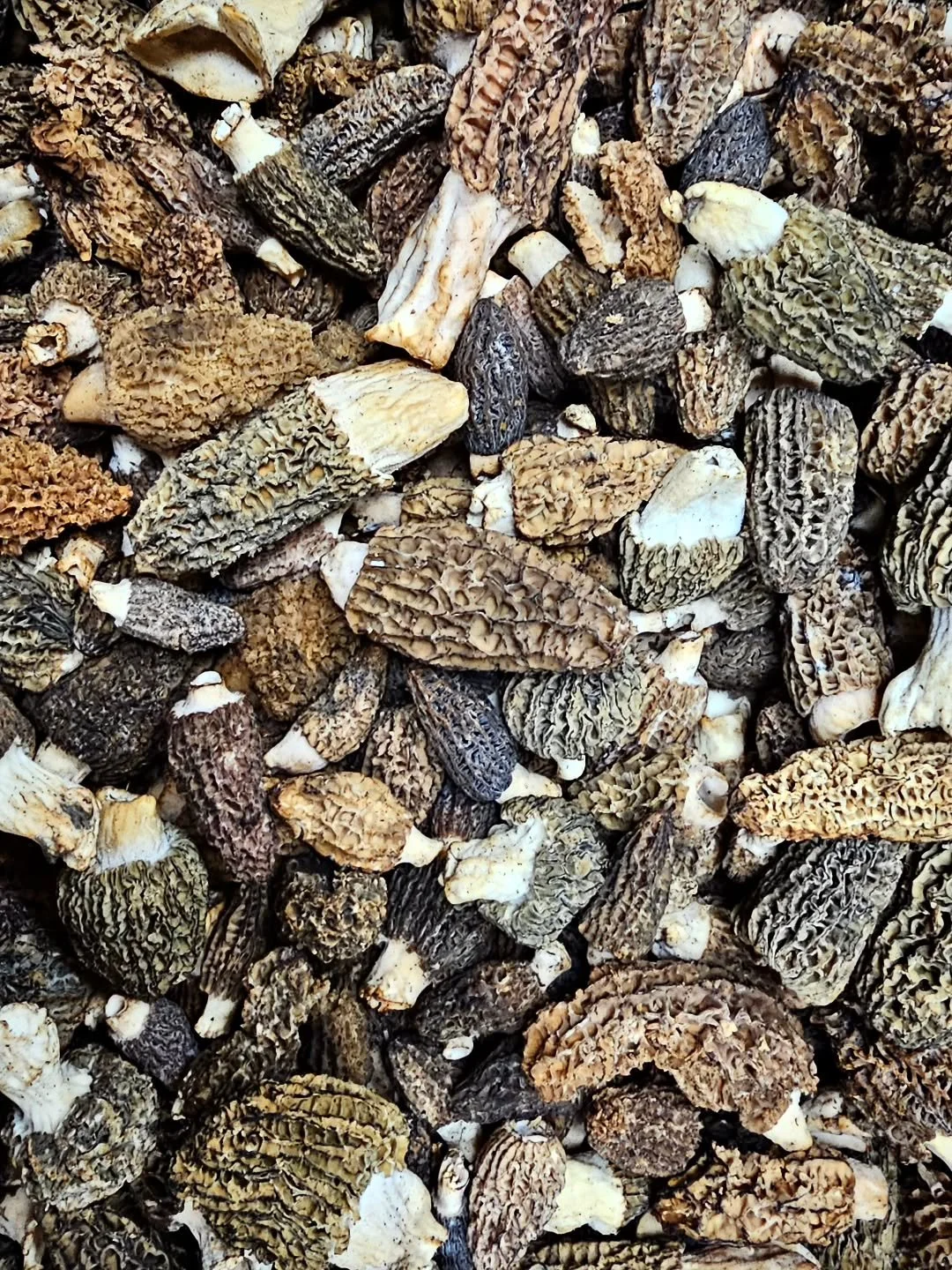 What do you think we should do with these beauties?