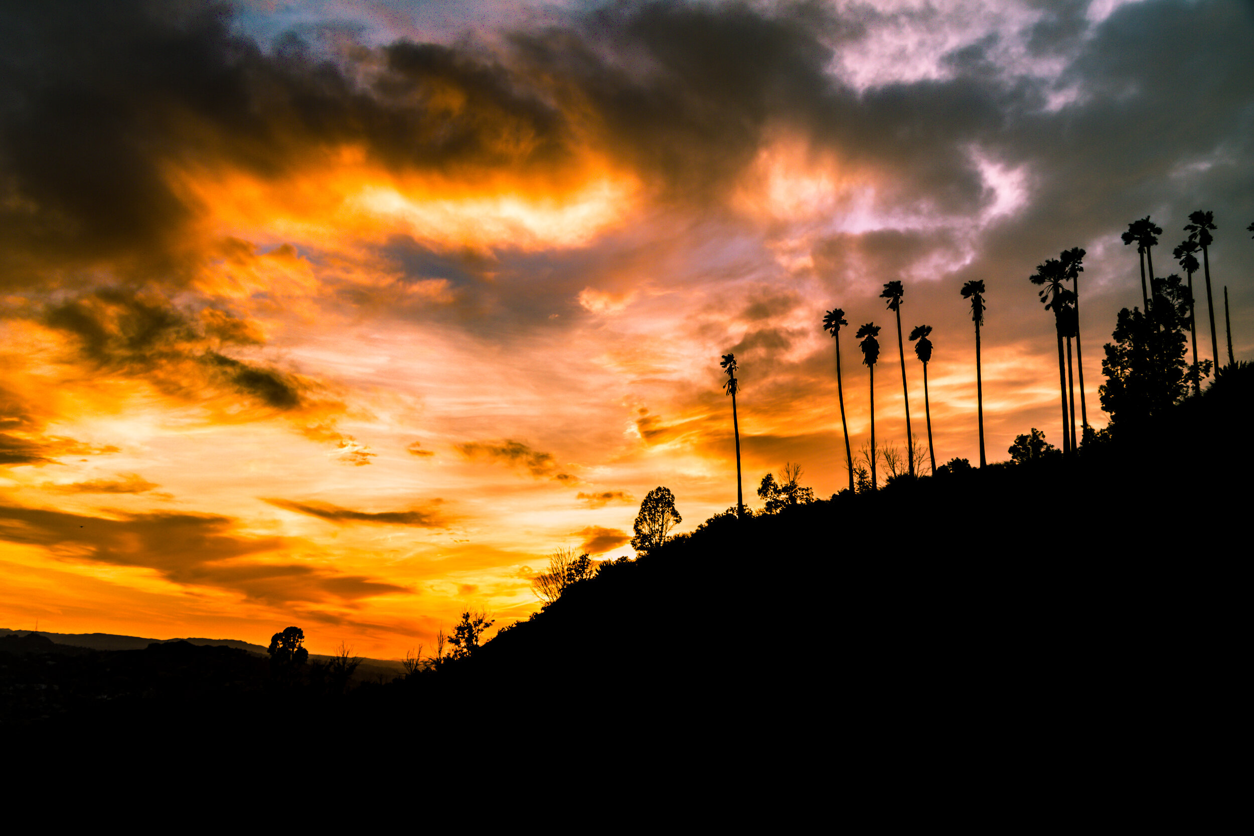 Sunsetting