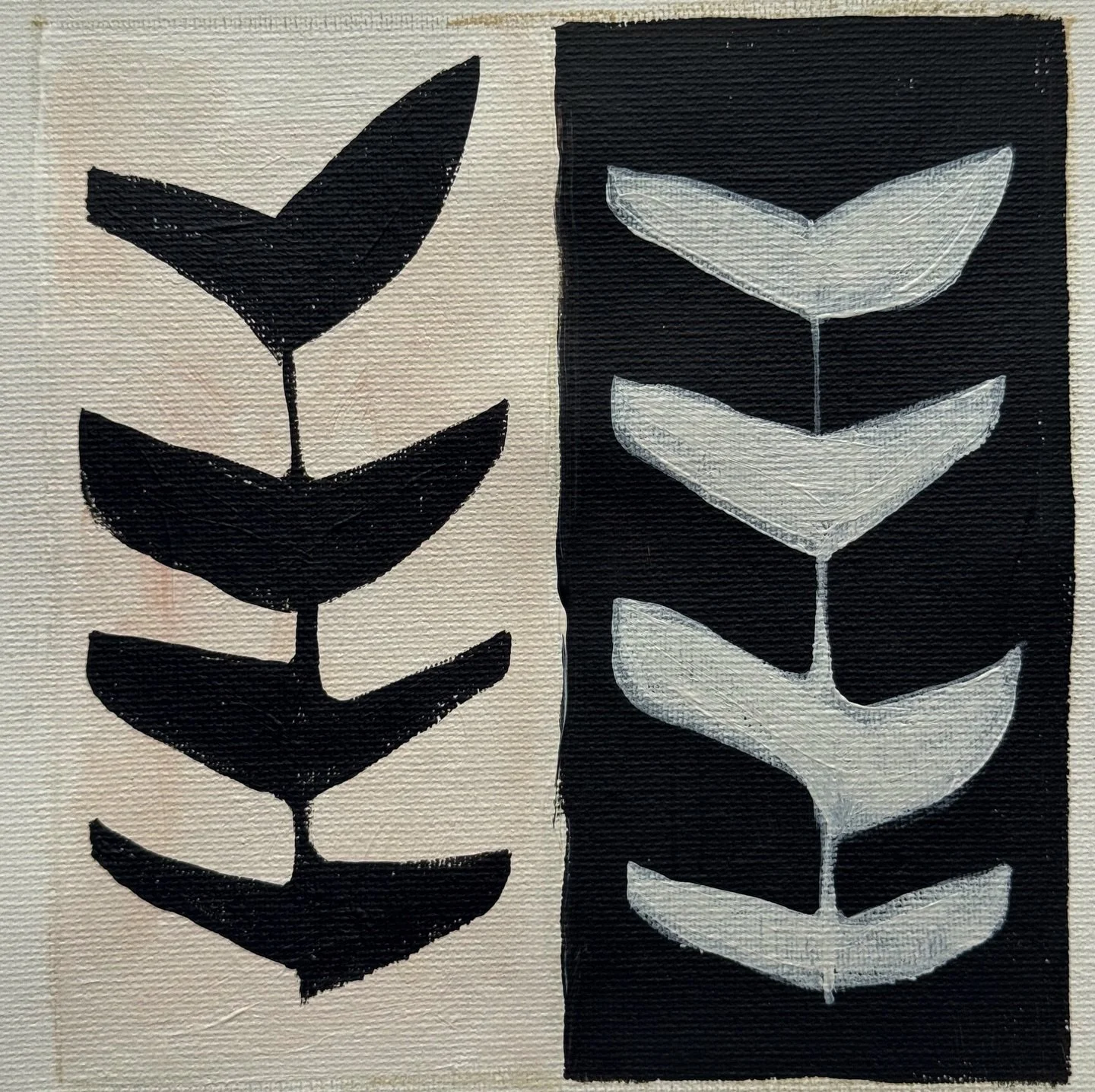 Transitioning from Kauai to Formula 1 🏁