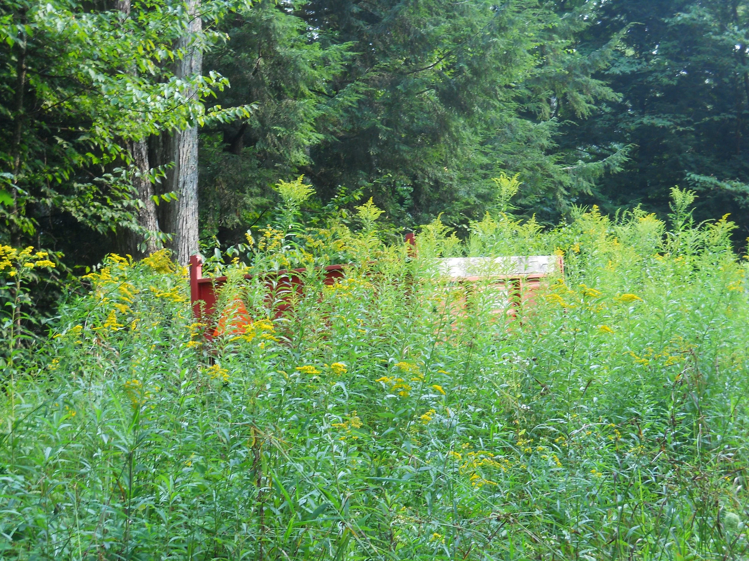 DSCN0041.JPG