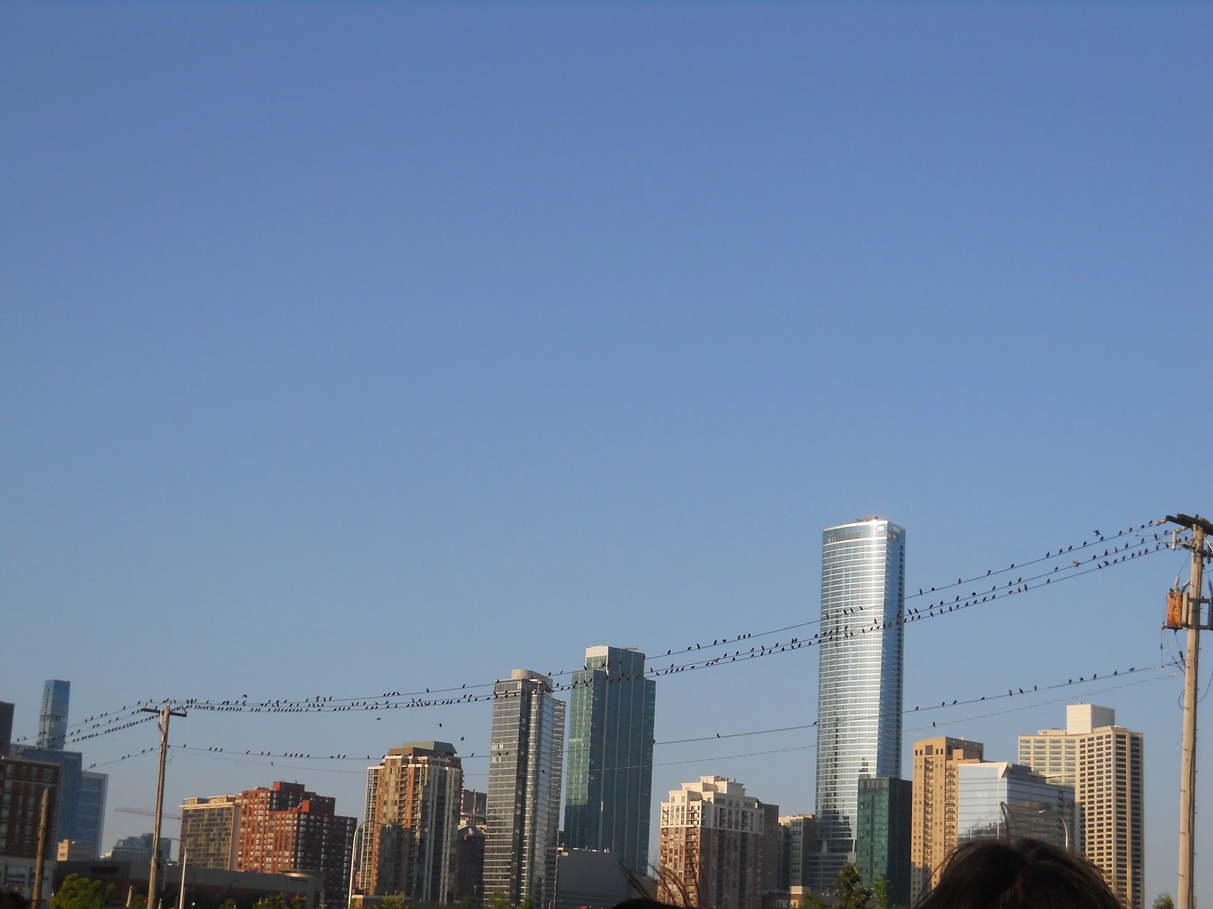 DSCN0083 3.JPG