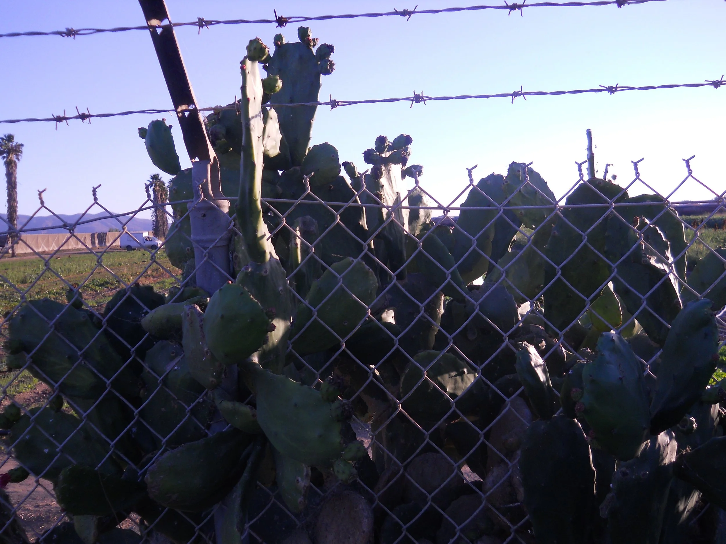DSCN0220.JPG