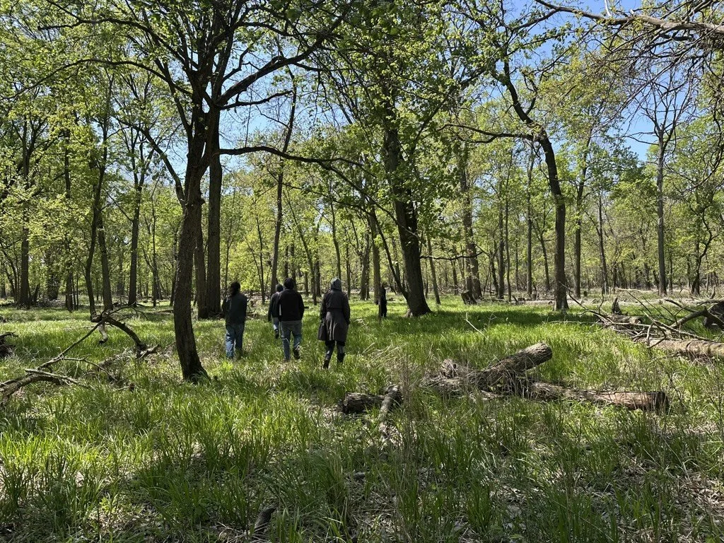  Foraging. May 2025.  
