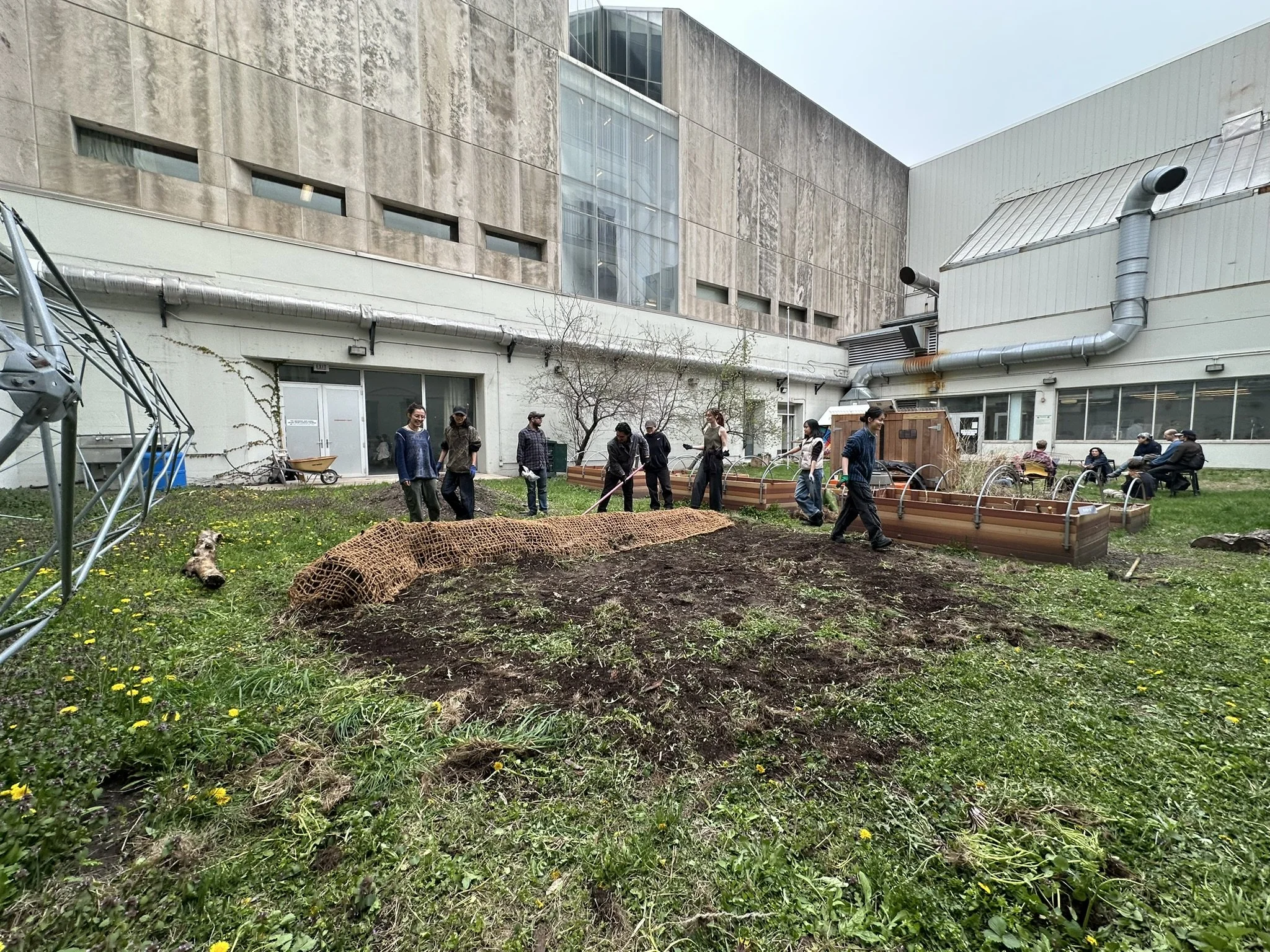  Re-constructing the berm, April 2025. 