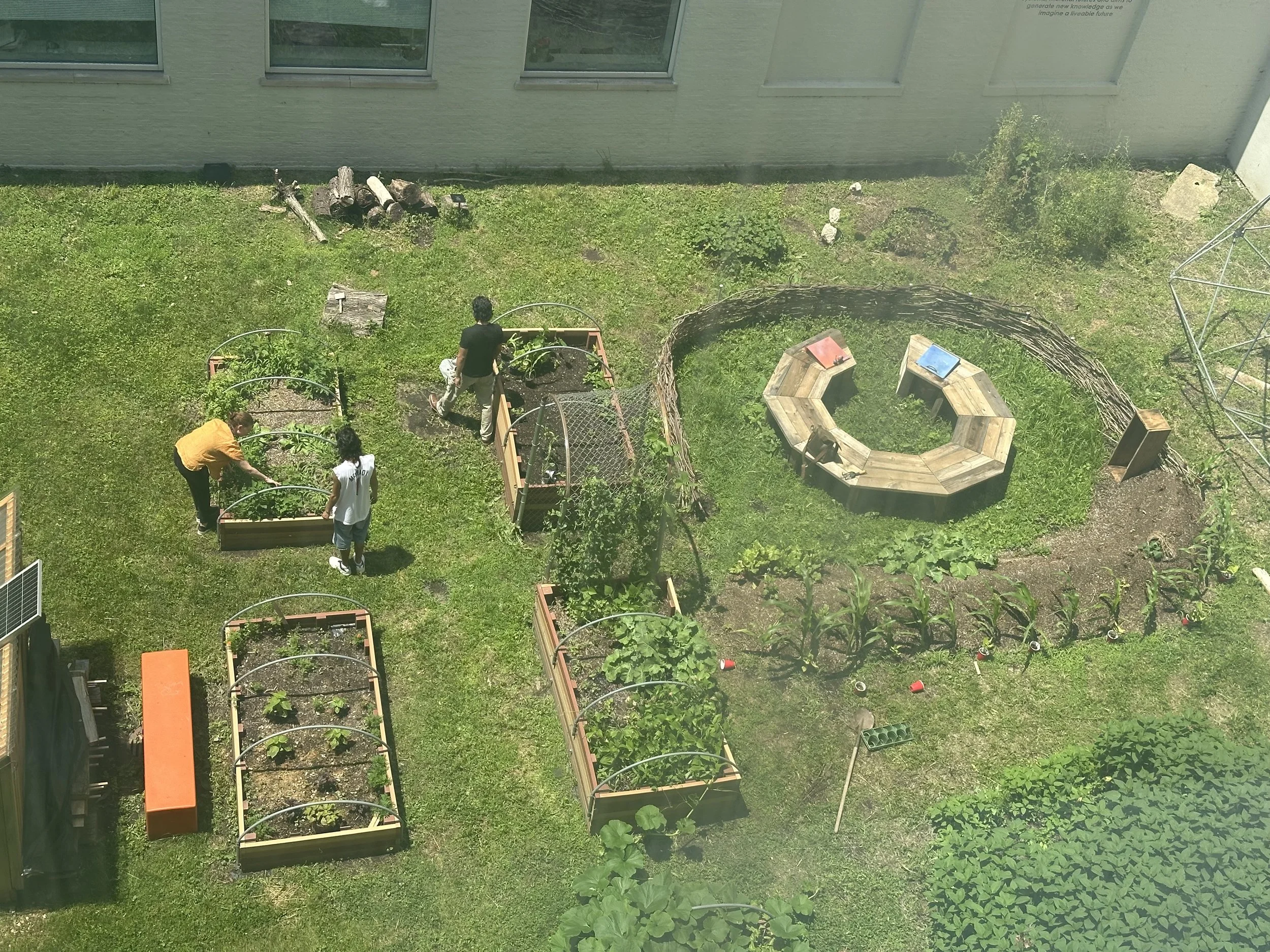  Aerial view of garden, June 2025. 