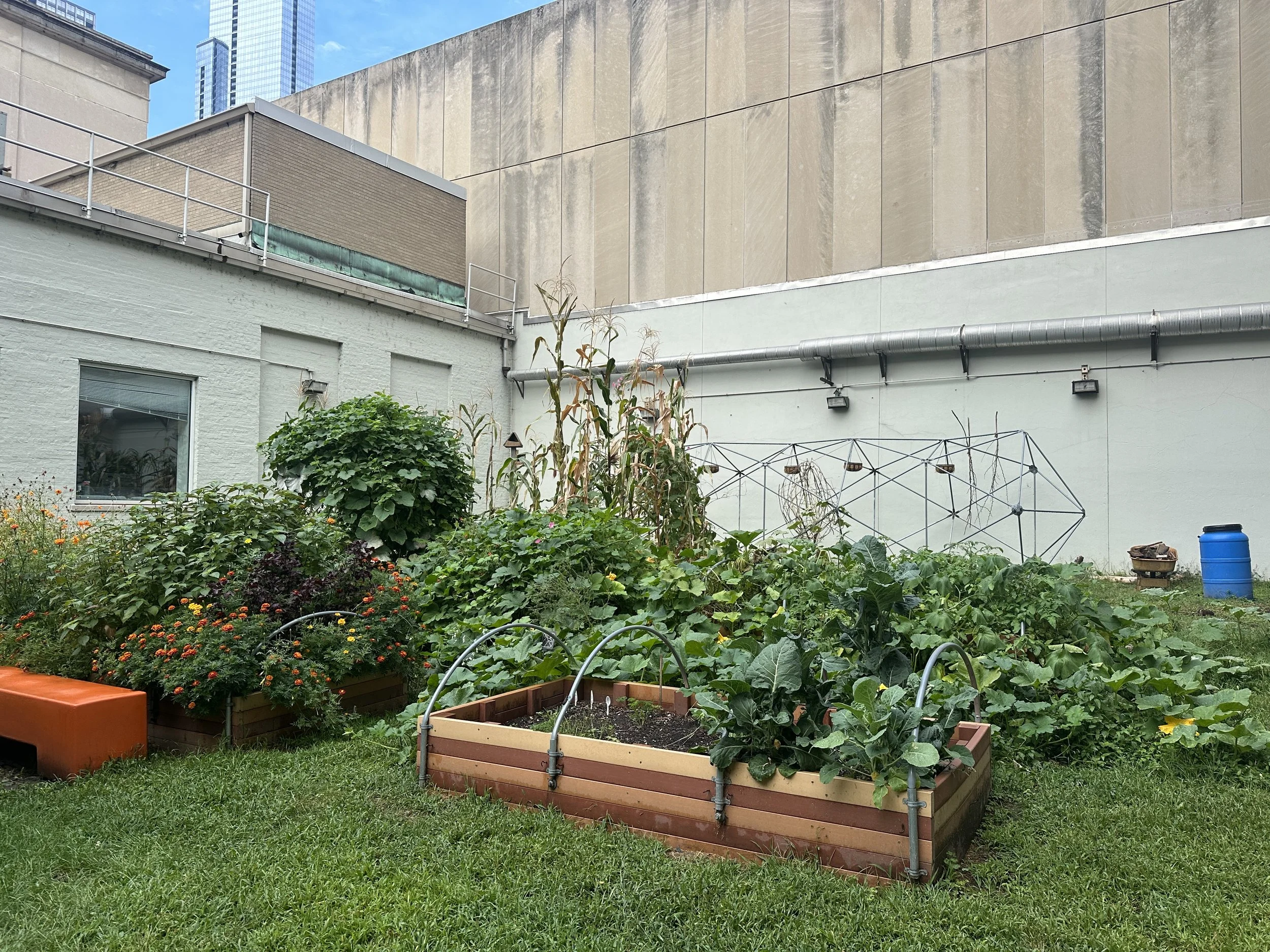  Garden in full bloom, September 2025. 