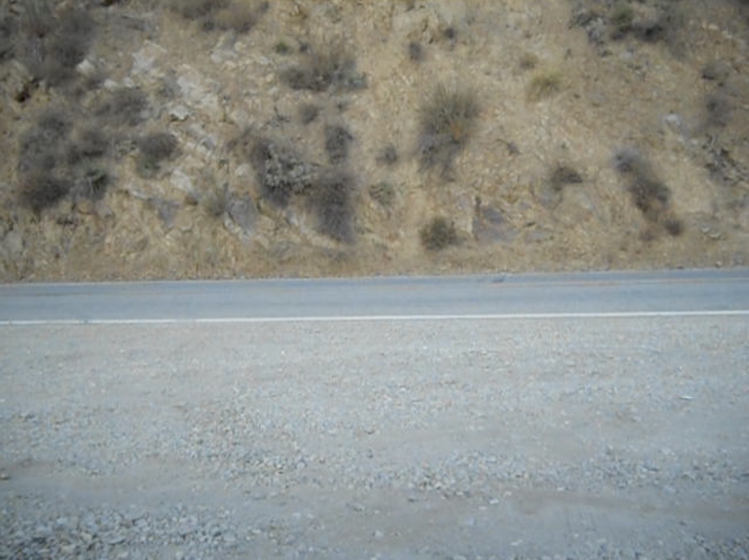 Screenshot 2026-02-12 at 9.16.28 AM.png