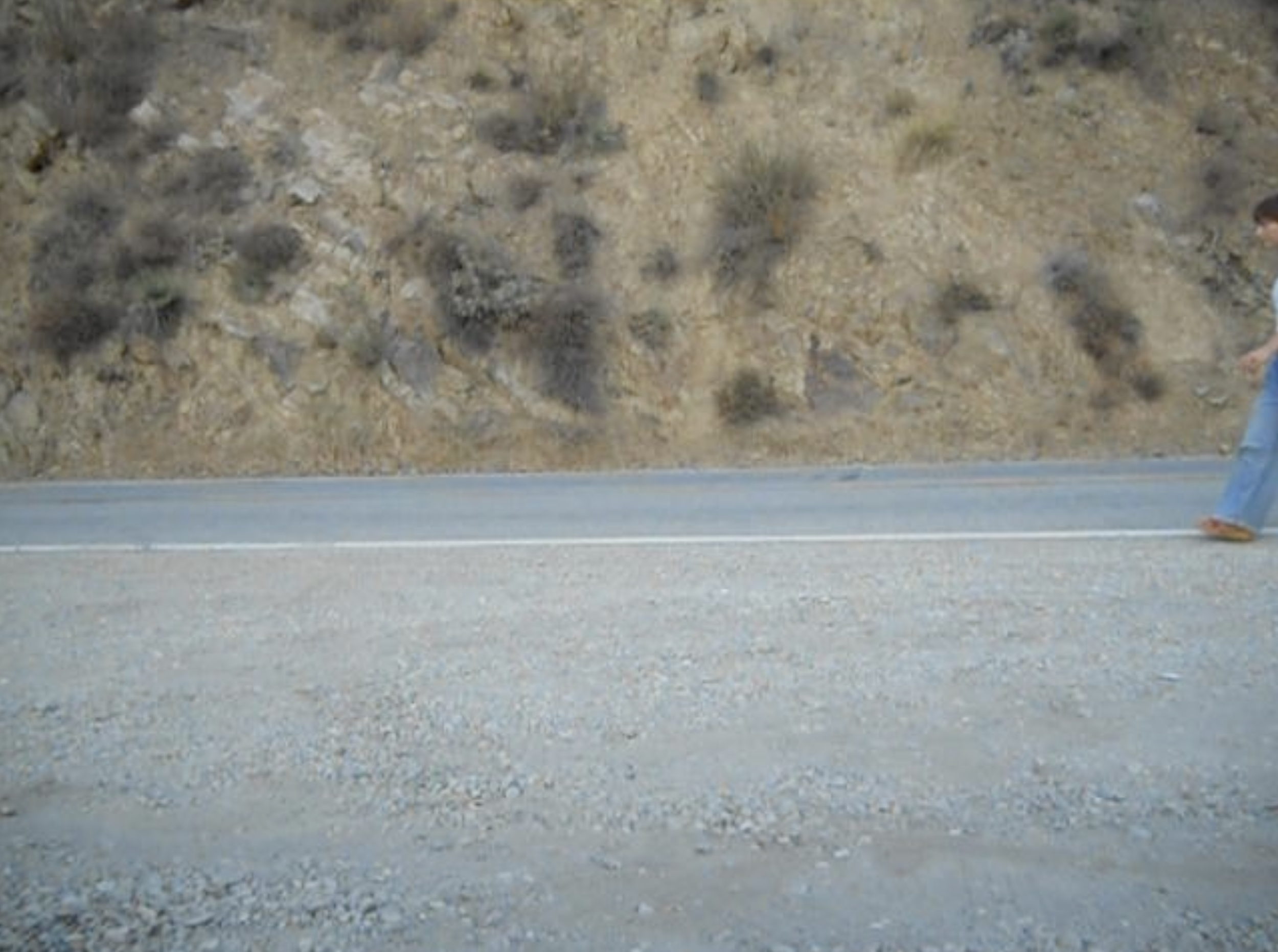 Screenshot 2026-02-12 at 9.17.01 AM.png