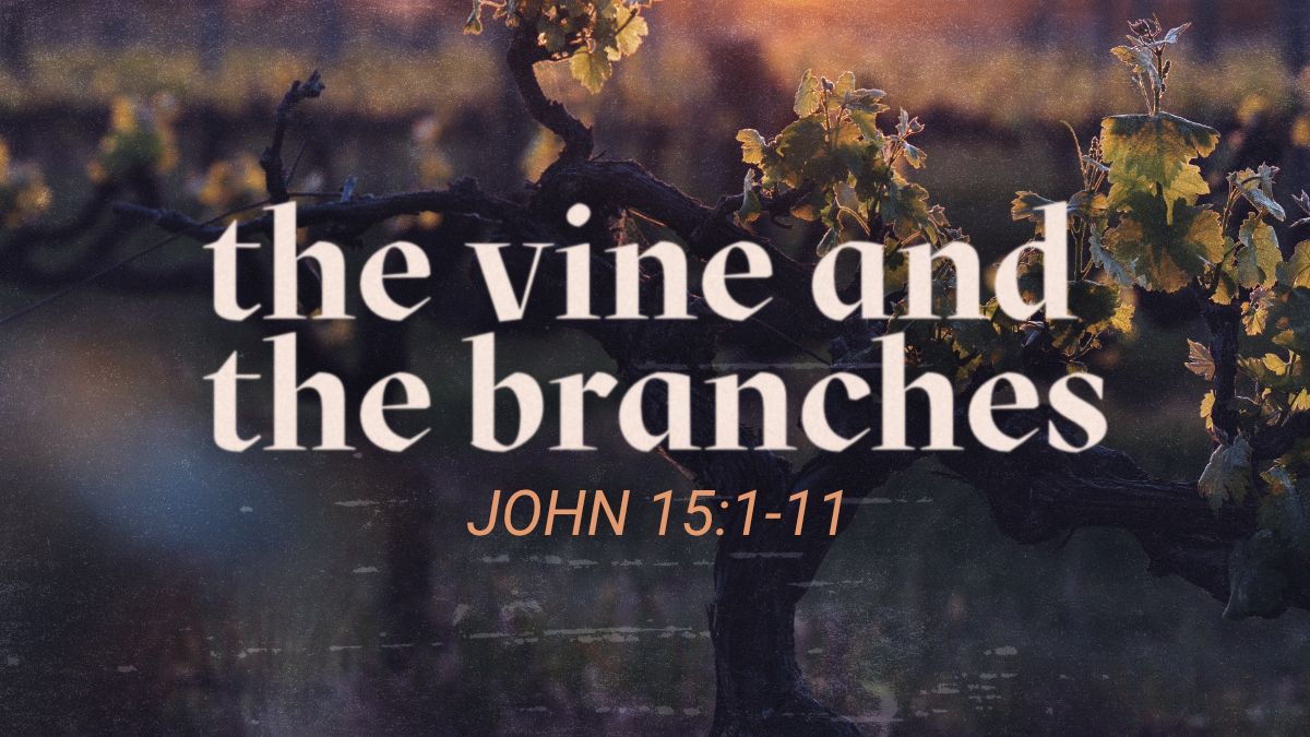 The Vine and the Branches