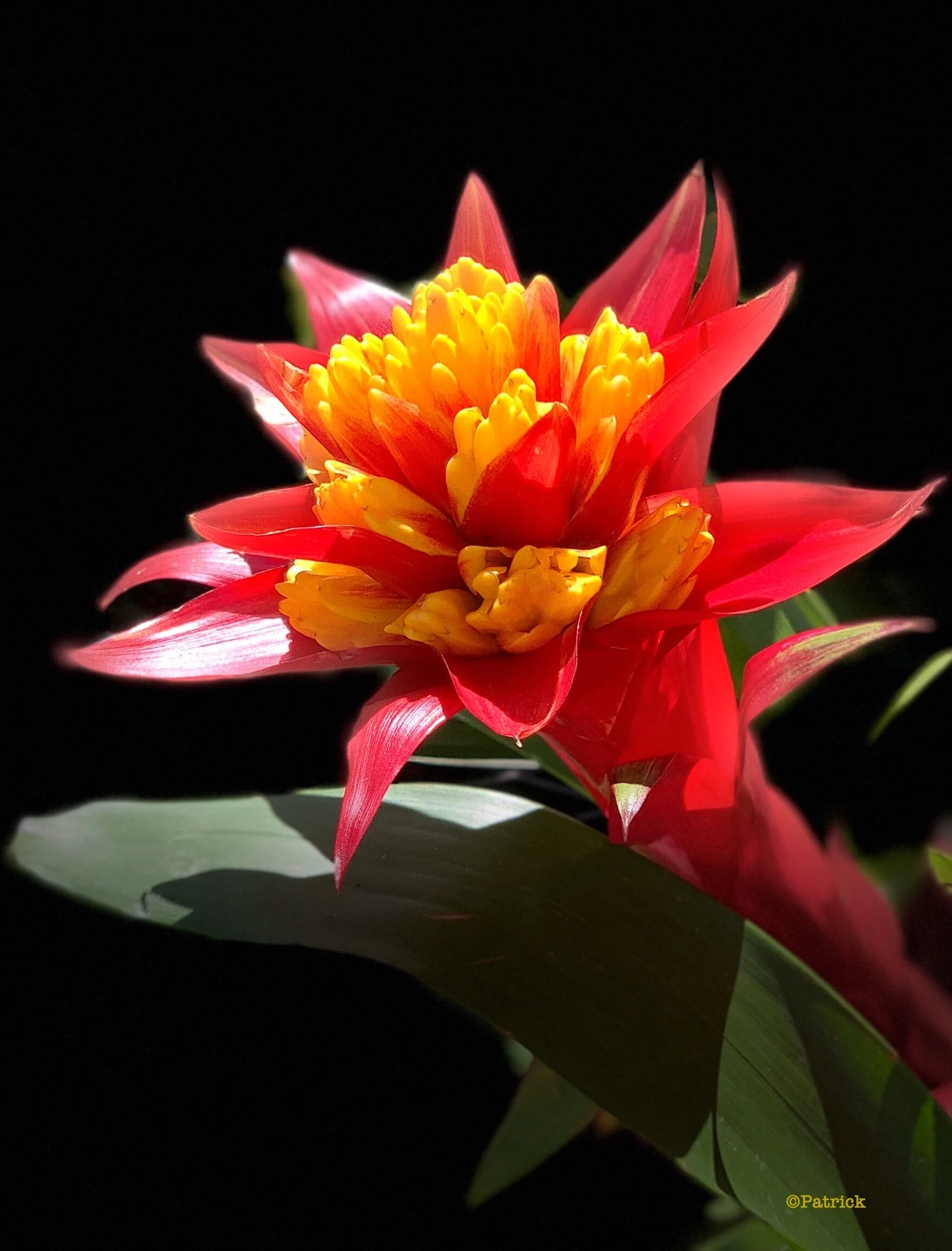 eZy Watermark_14-07-2019_07-07-49AM.JPG