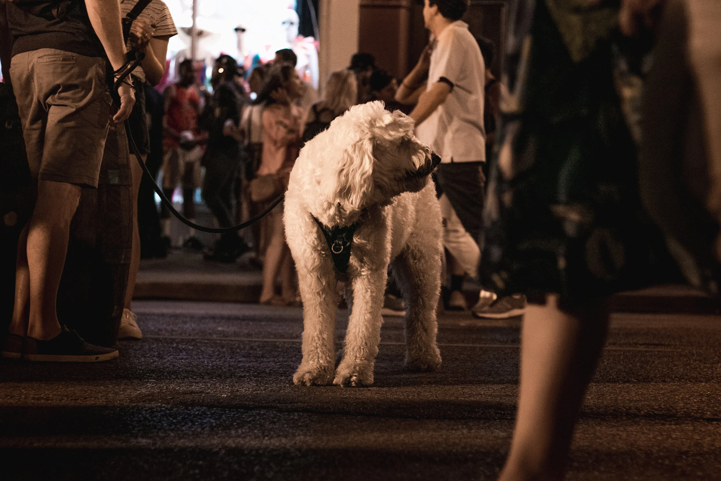 Richie Feola Photography richie-feola-photography