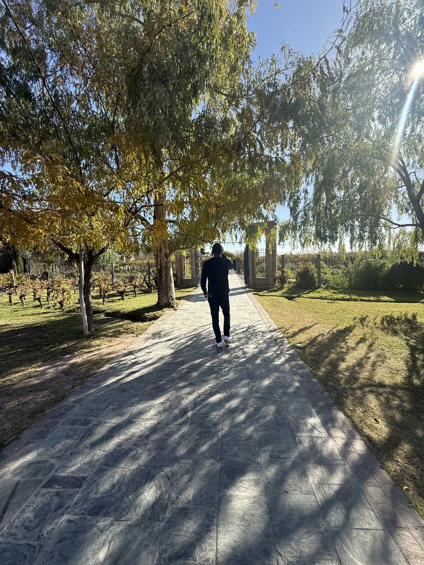 3 Days in Mendoza