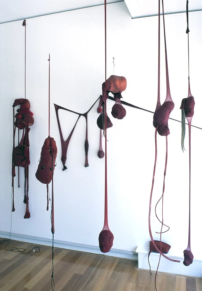 Installation peleton 2007 1000 lighter.jpg