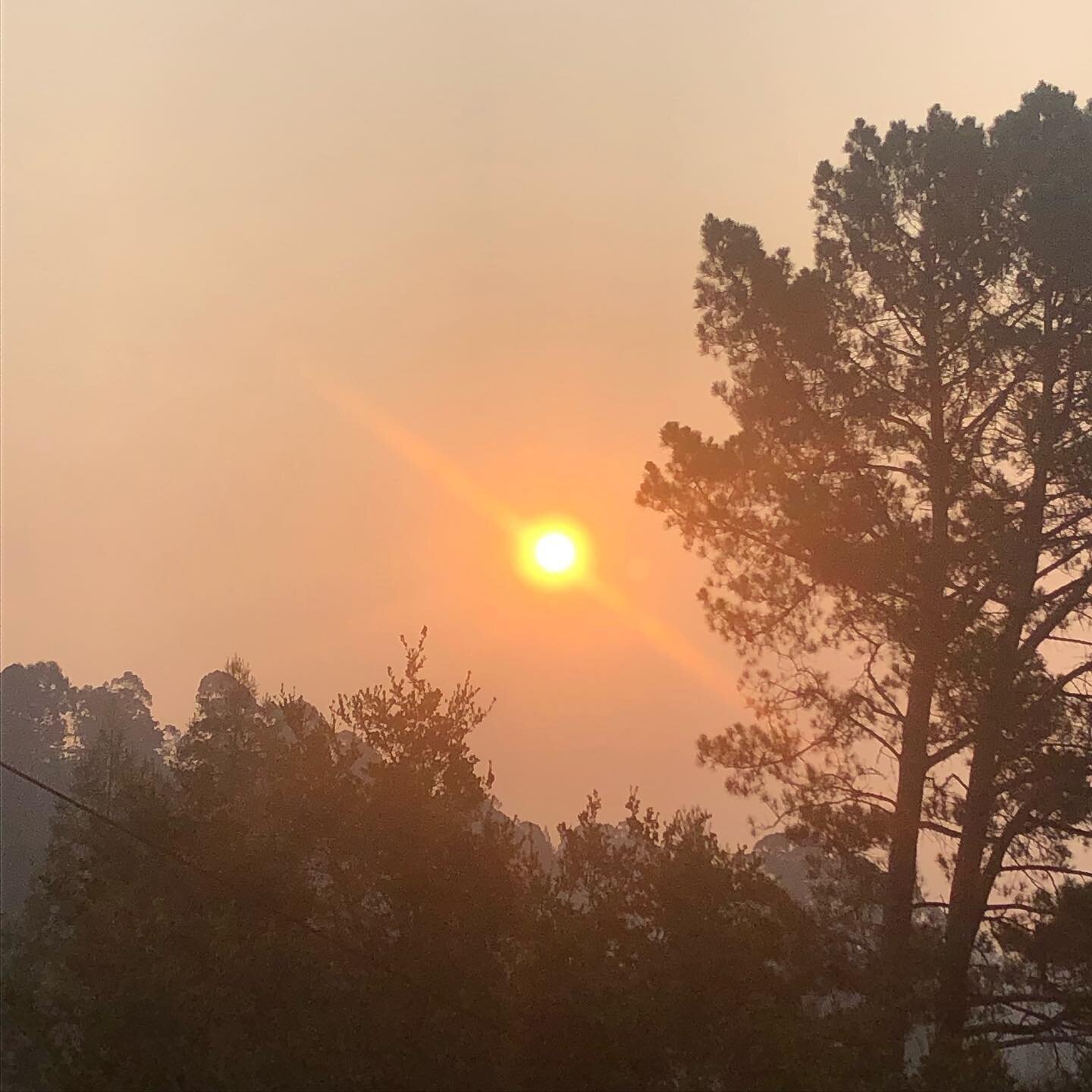 Day 6: Still alive.

Big hugs to those who also stayed up all night watching the storm to see if they needed to re-evacuate.

Big hugs to those who are watching from afar and have offered love, shelter, or support to anyone experiencing the fires.

B