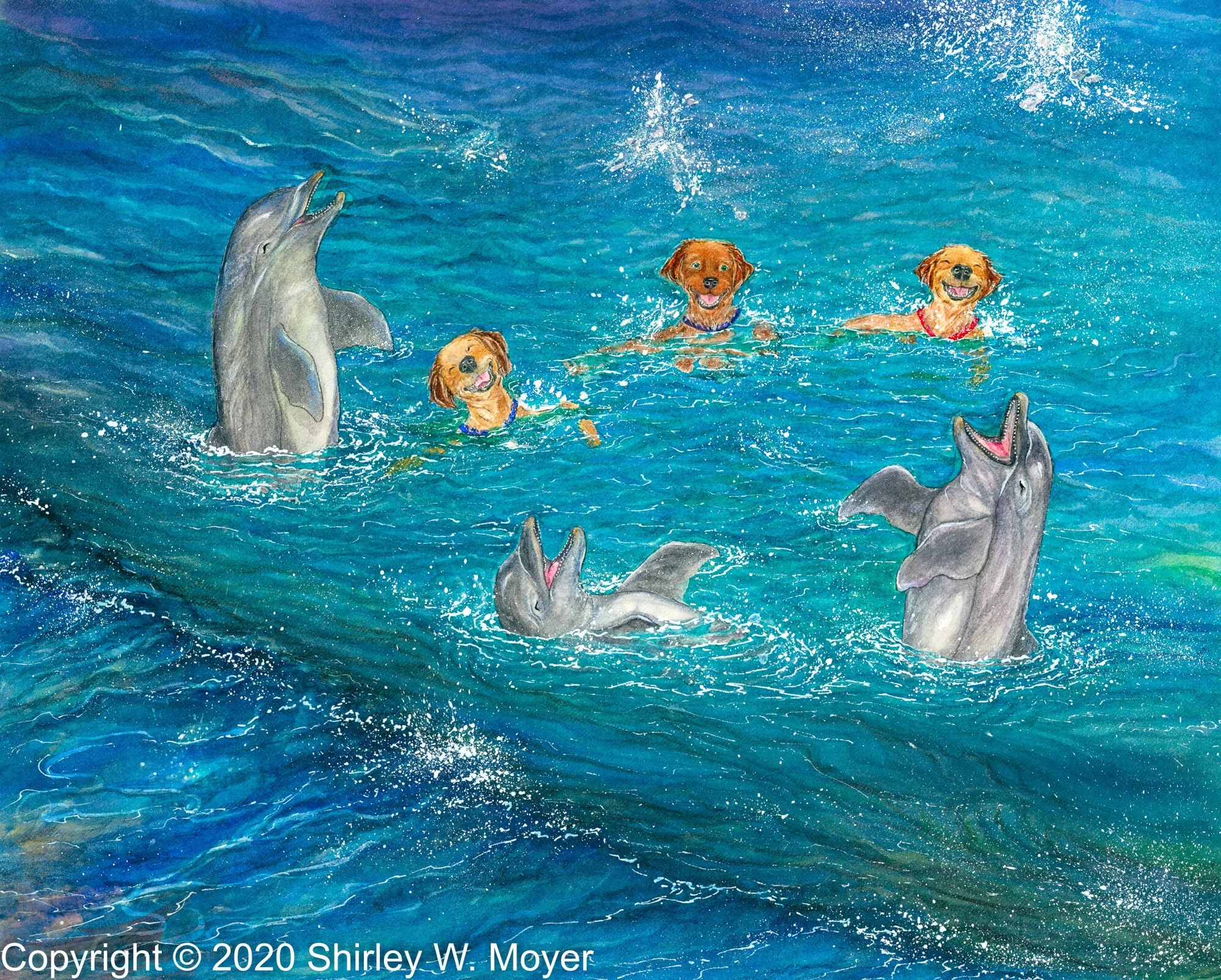 Dolphin Pals