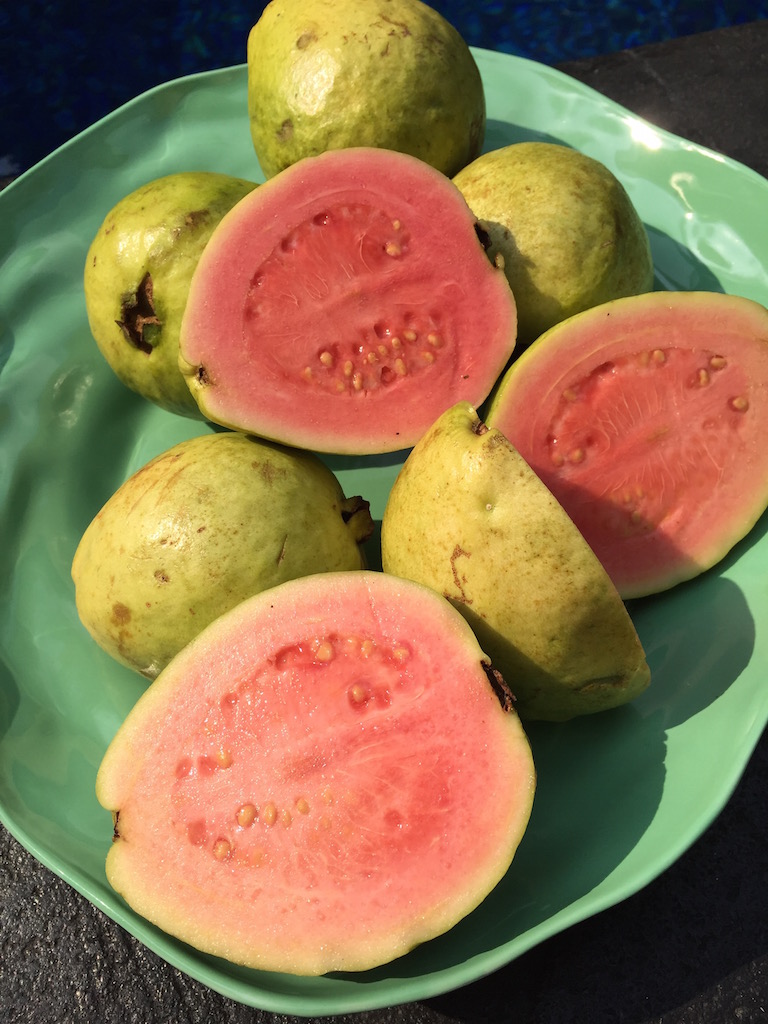 Tropical Fruits of Indonesia — A Journey Bespoke