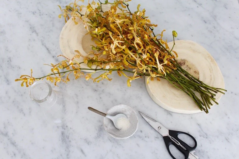 How to Make Fresh Flowers Last Longer in Jakarta