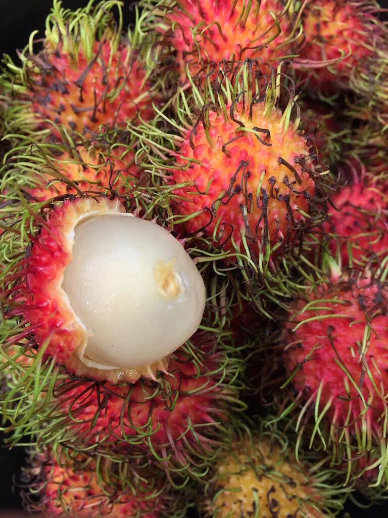 Tropical Fruits of Indonesia