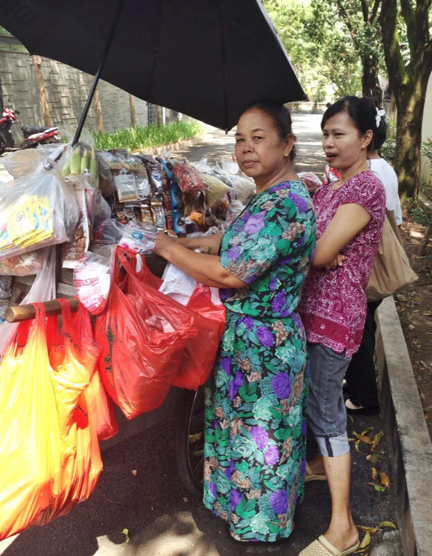 Our neighbourhood mobile grocer