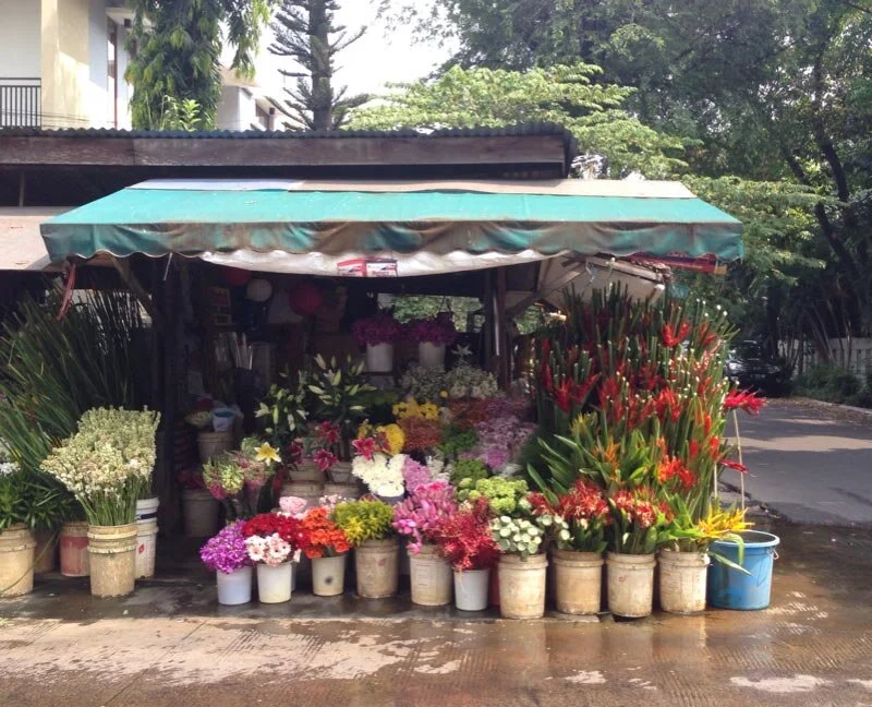 Tropical Flowers of Indonesia