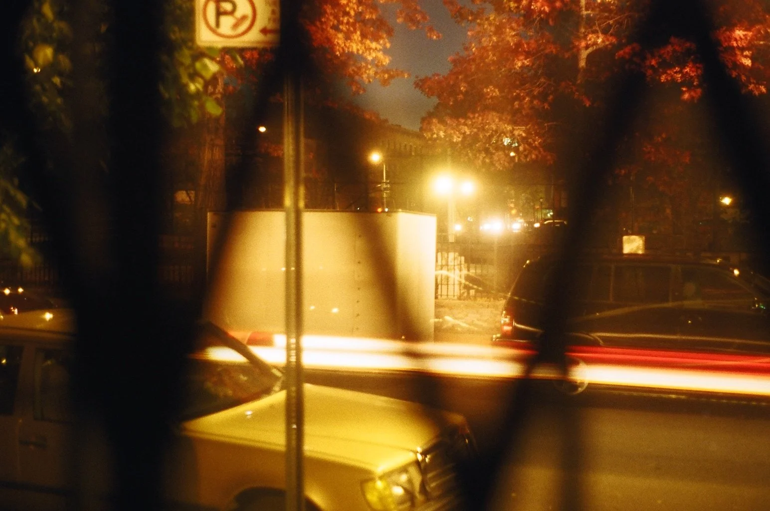 Photography by Joe MacFadzen (45).JPG