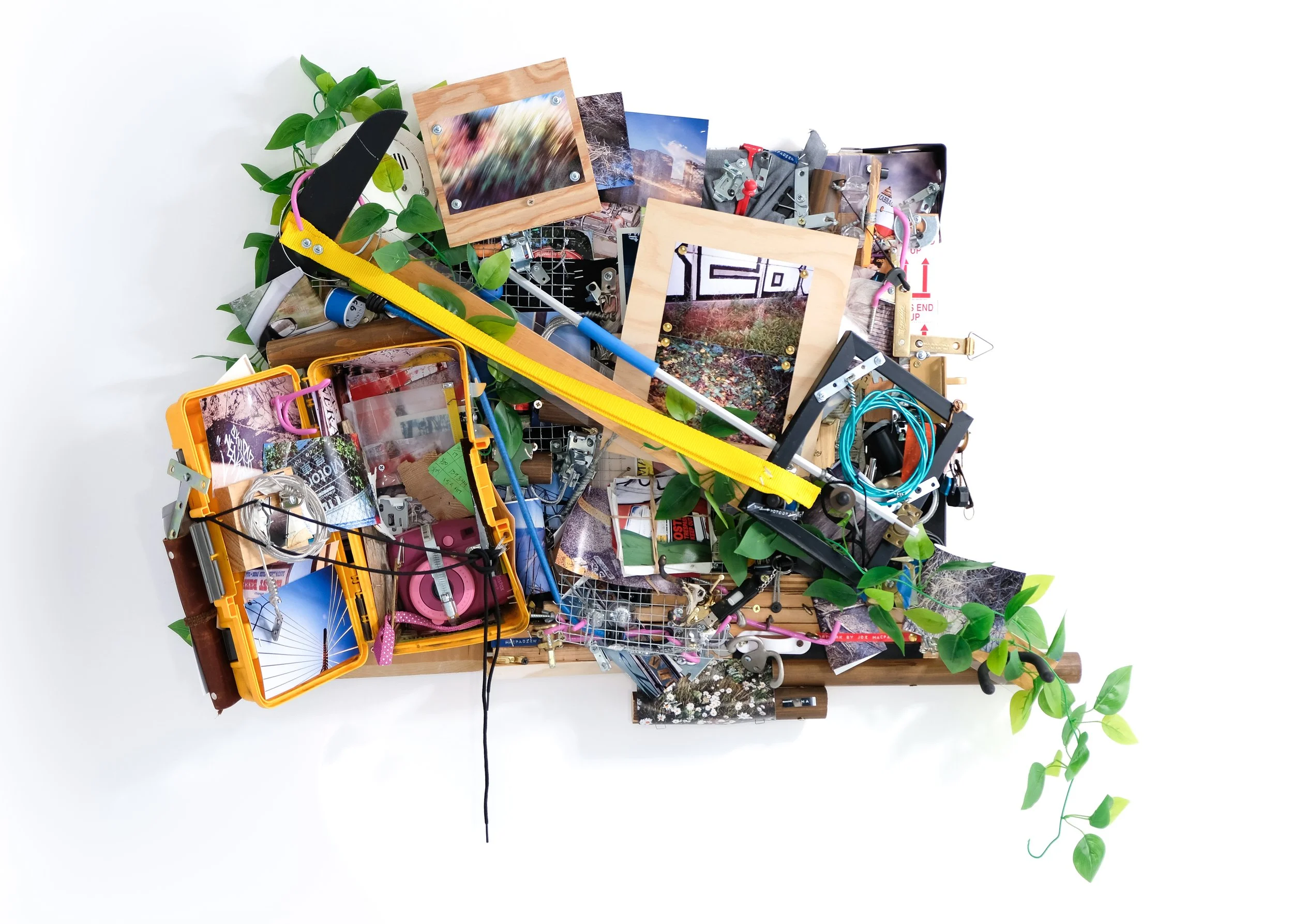 Artwork by Joe MacFadzen-19.jpg