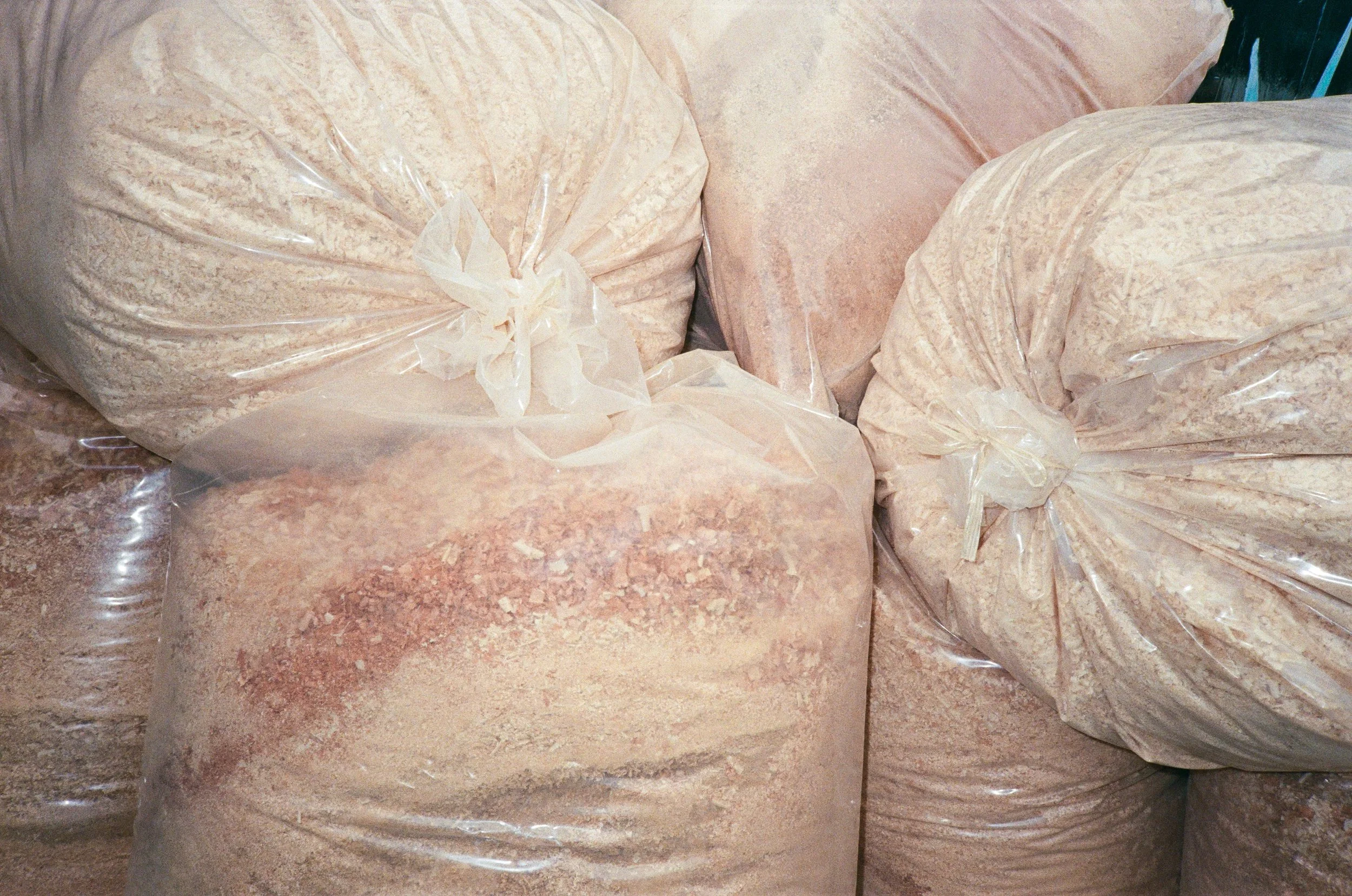 Photography by Joe MacFadzen-04.jpg