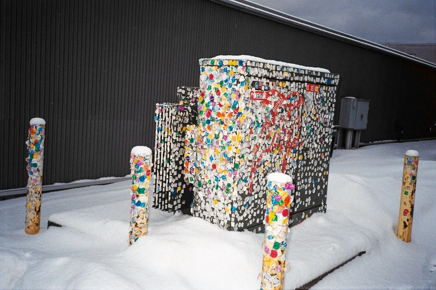 Photography by Joe MacFadzen-09.jpg