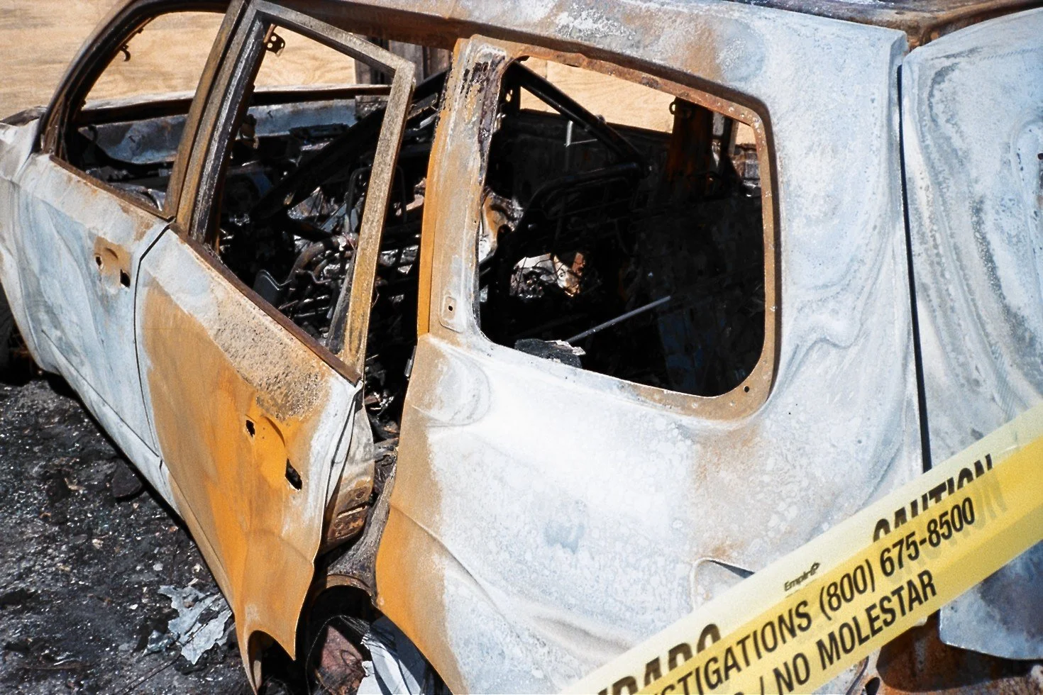 Photography by Joe MacFadzen-12.jpg