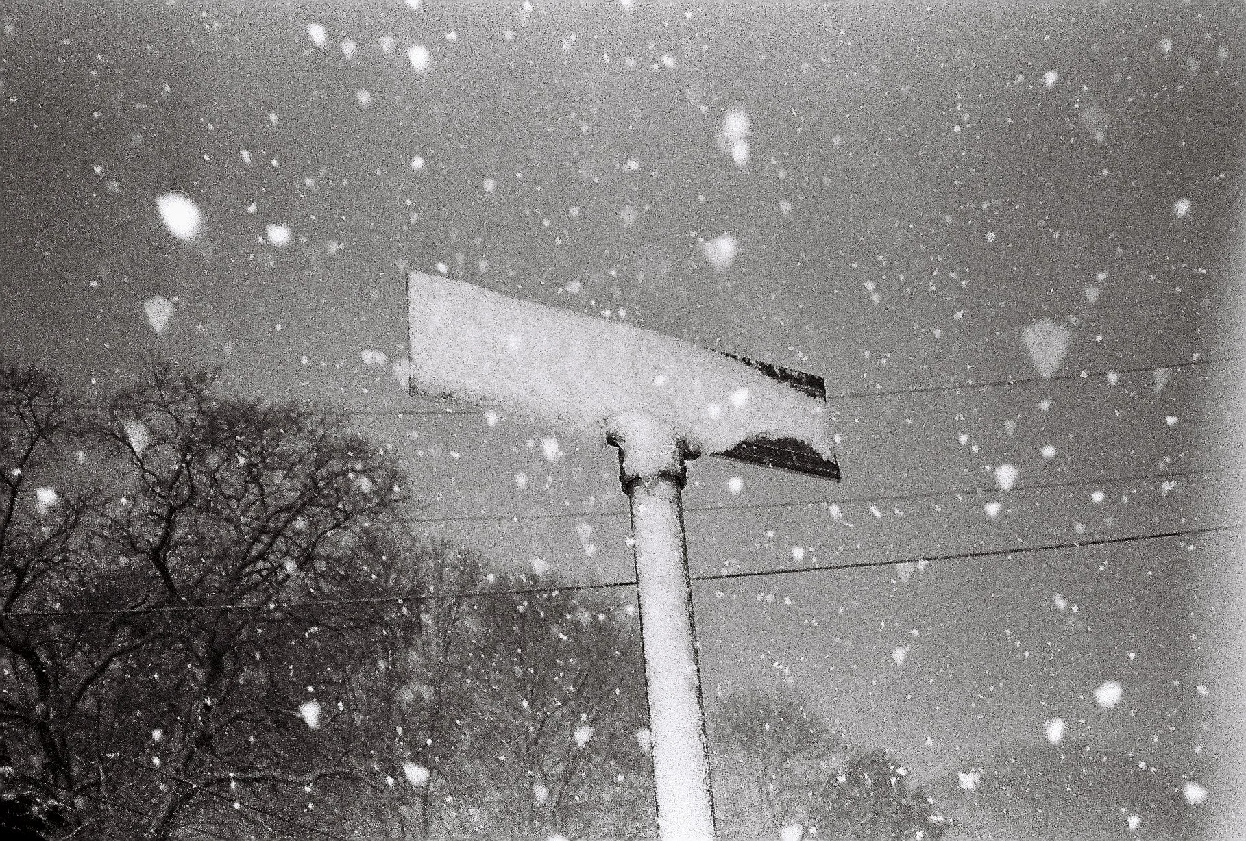 Photography by Joe MacFadzen-15.jpg