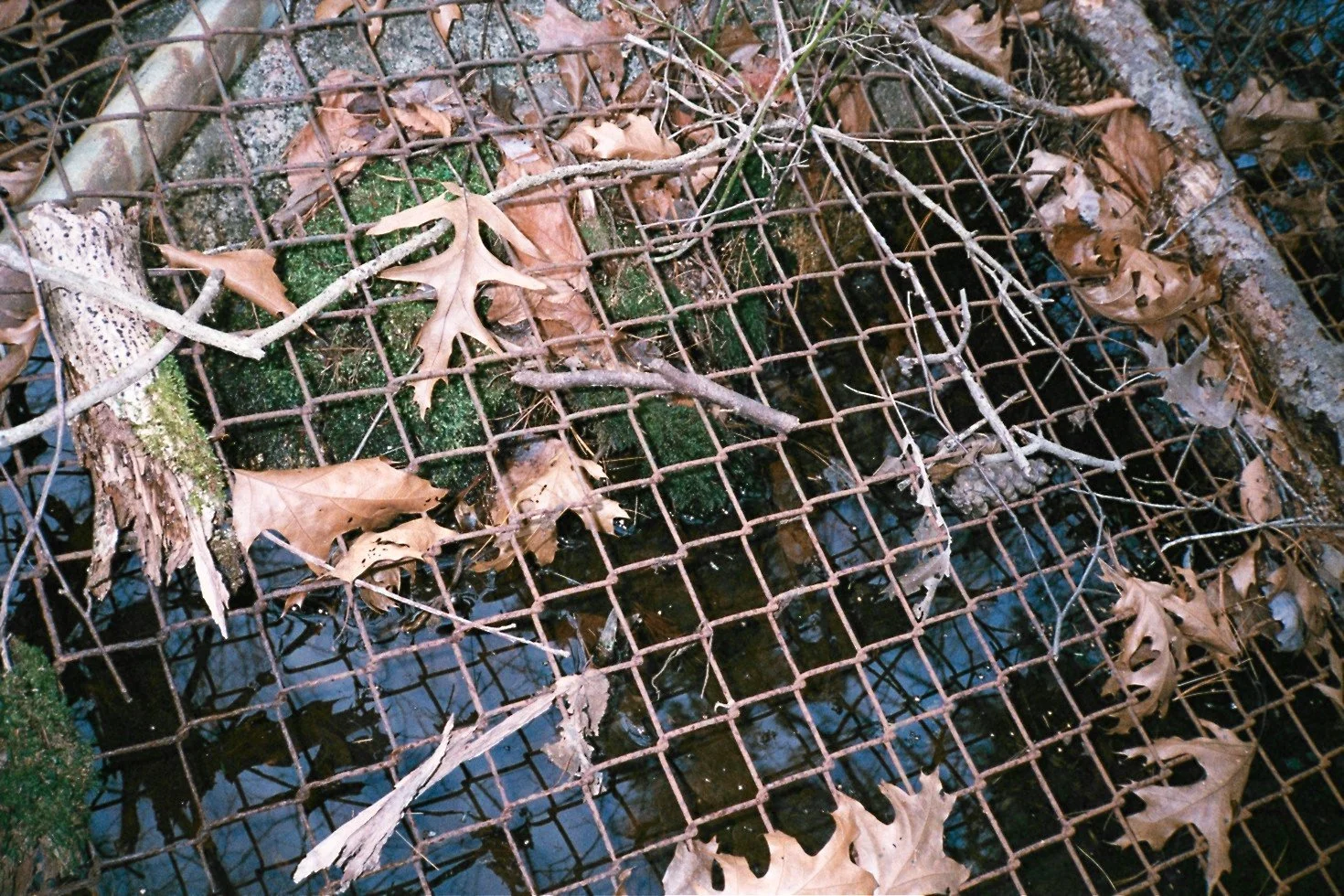 Photography by Joe MacFadzen-16.jpg