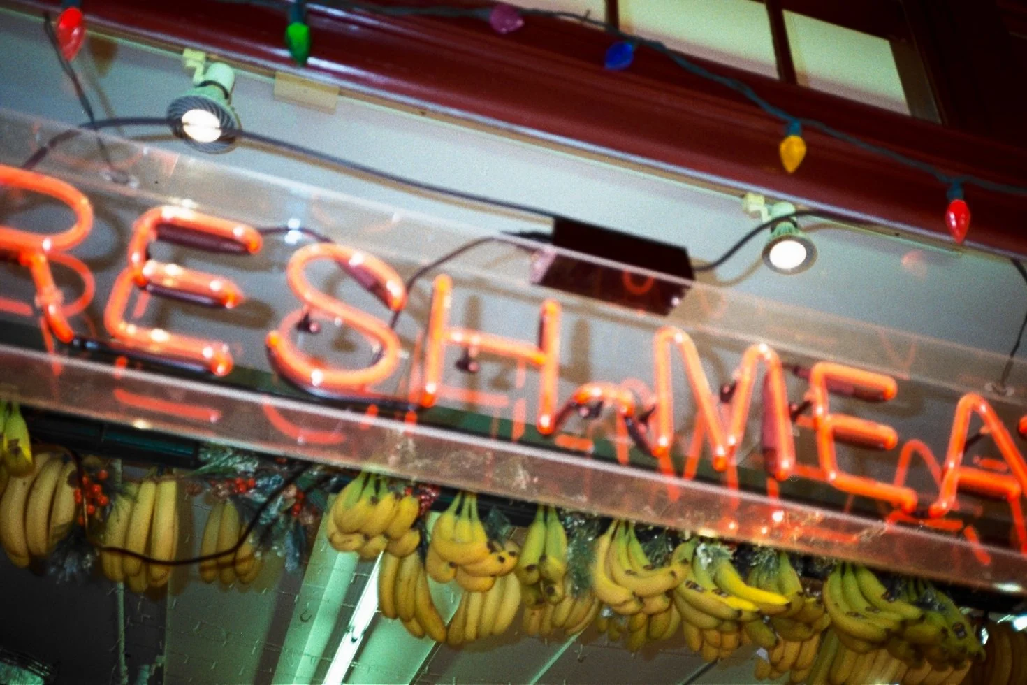 Photography by Joe MacFadzen-17.jpg