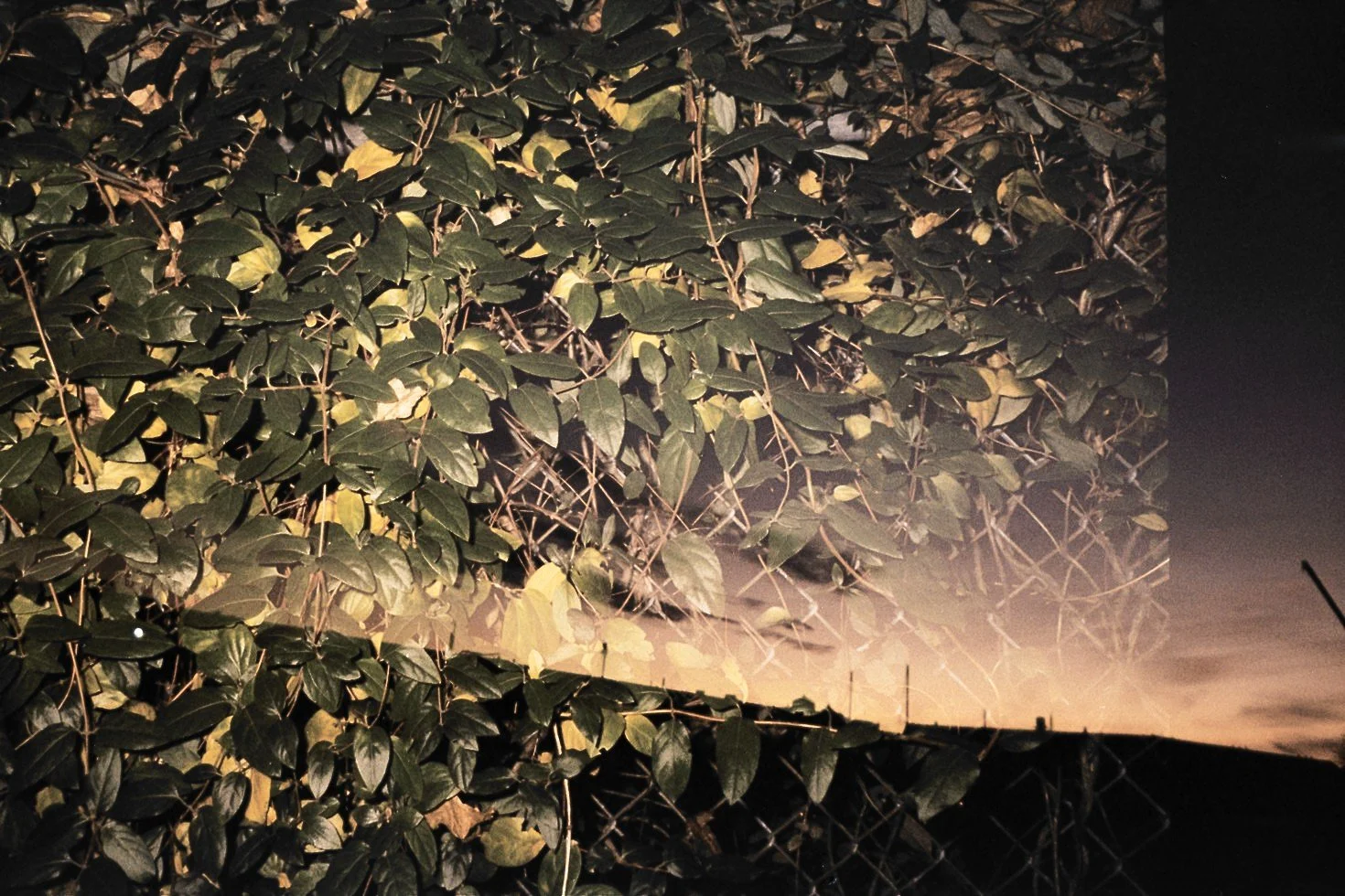 Photography by Joe MacFadzen-27.jpg