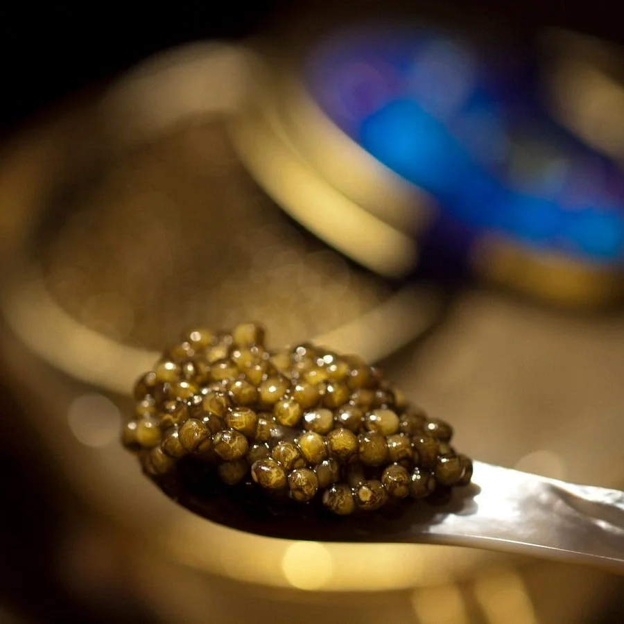 东方山海的一勺“黑黄金”掀起餐桌上的黑色时尚风潮