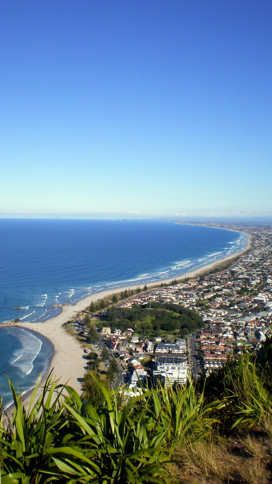 Mt_Maunganui_summit.jpg