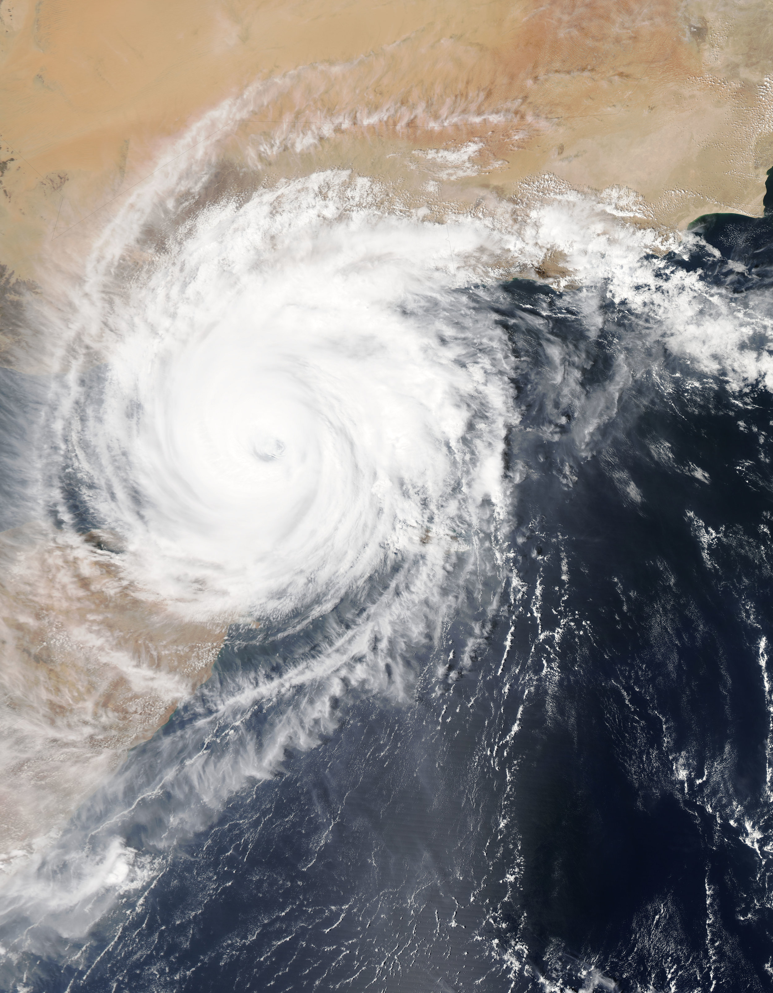 Hurricane Sandy and Beyond: Engineering, Ecology, and Policy Pathways in an Era of Climate Change