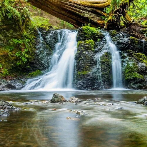 The 9th Annual – Nature, Ecology &amp; Society Colloquium