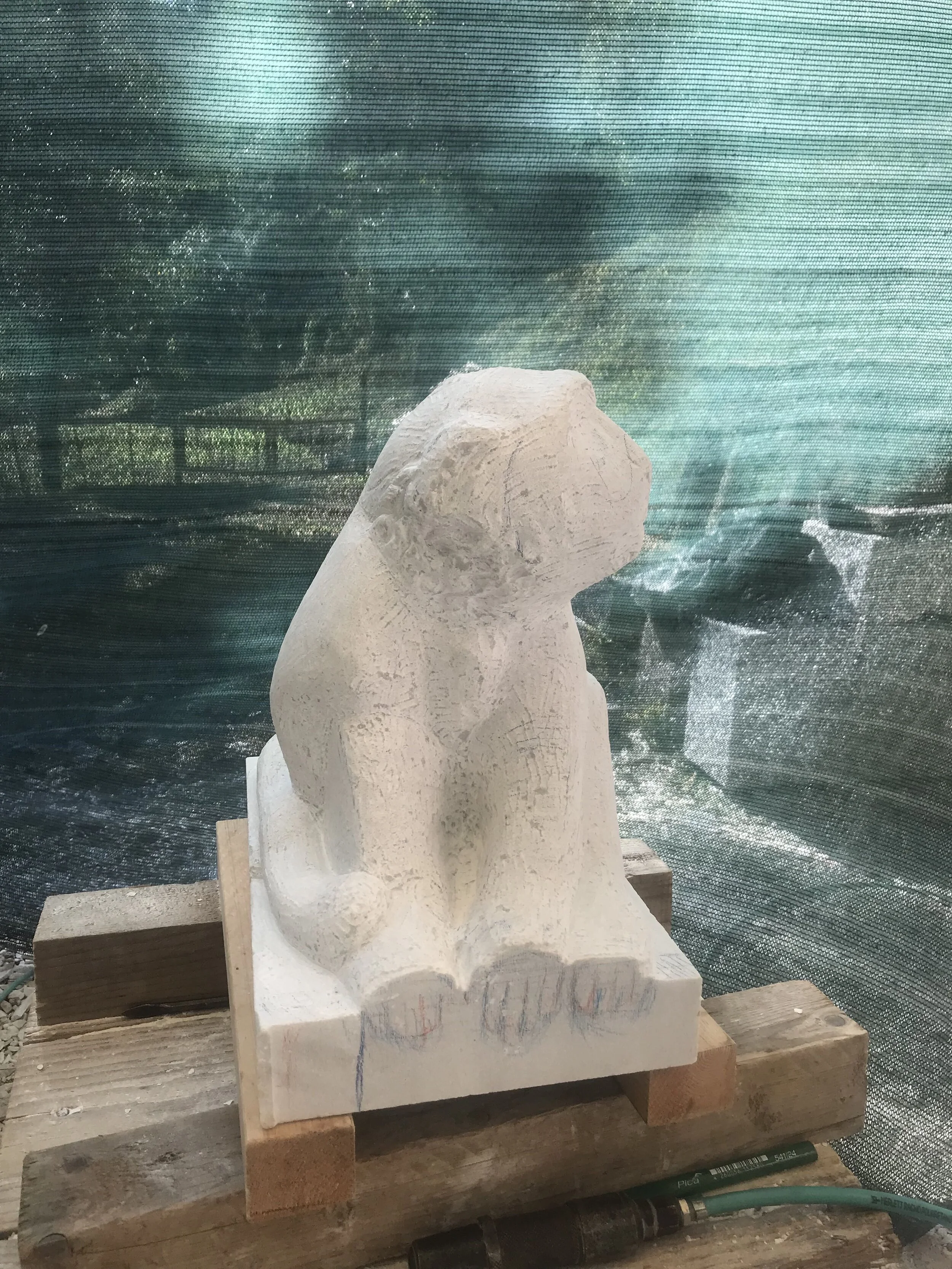 Marble Monkey before hands.jpeg